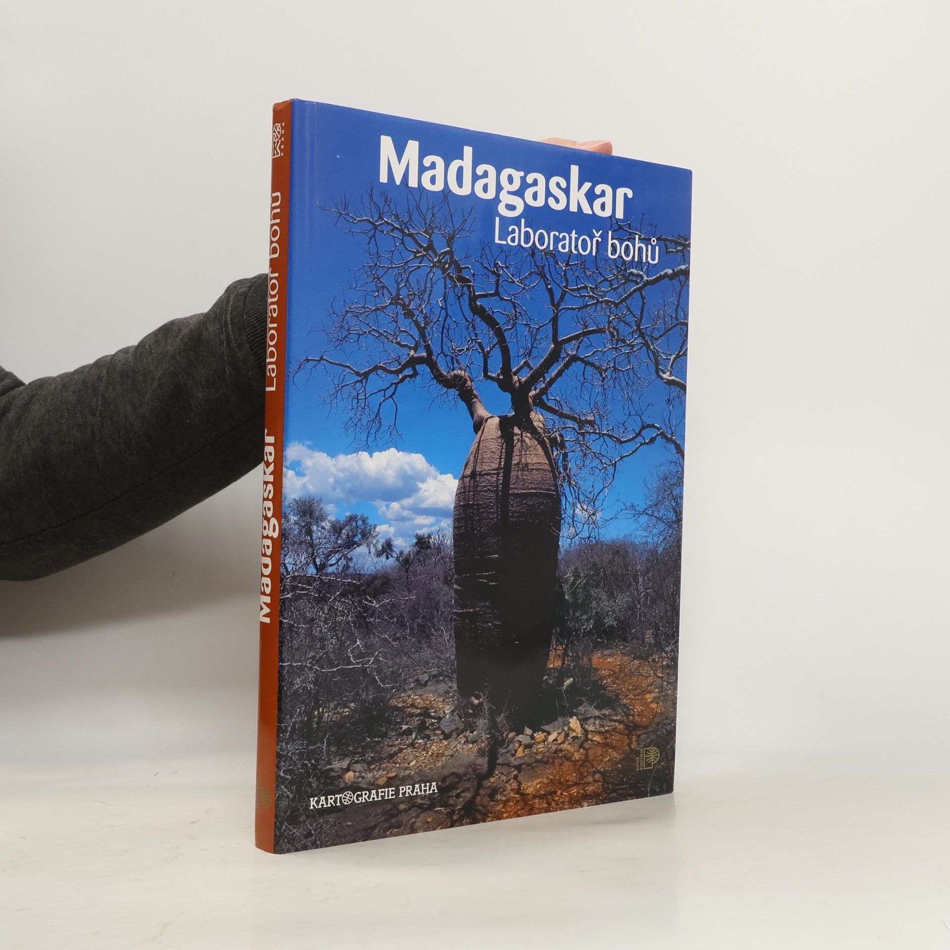 Růžena BeandapaKytlová Madagaskar : laboratoř bohů