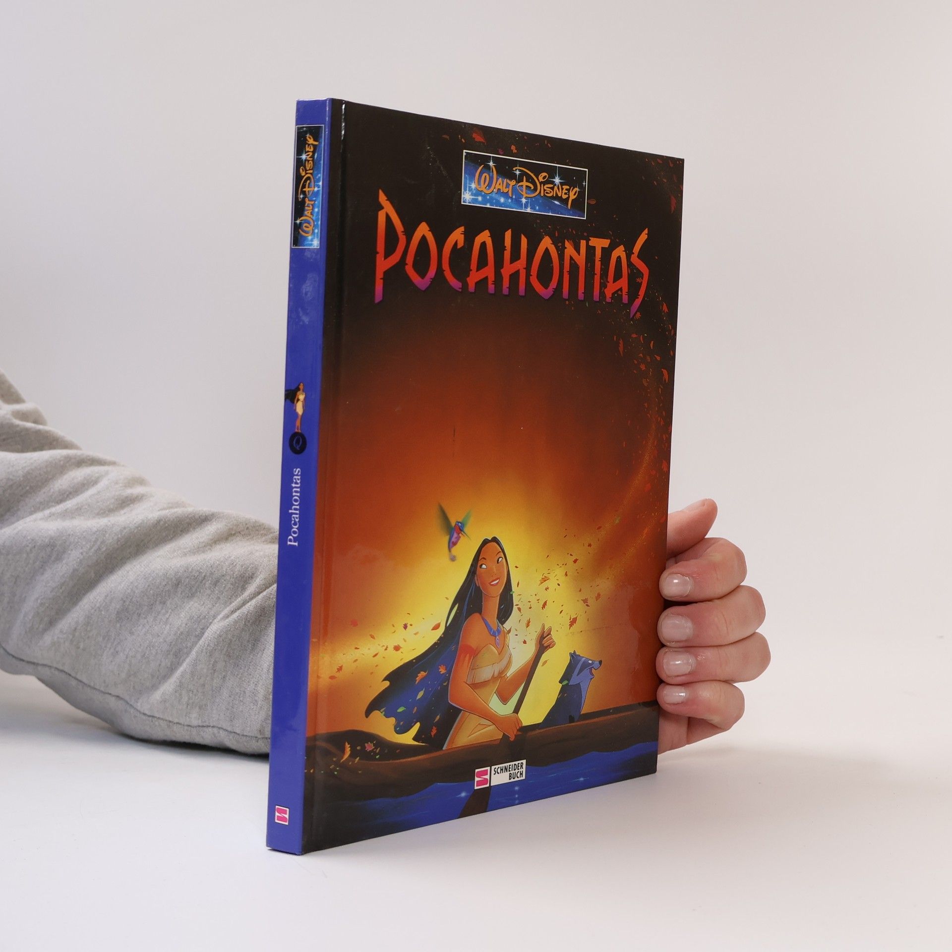 Autorenkollektiv Pocahontas