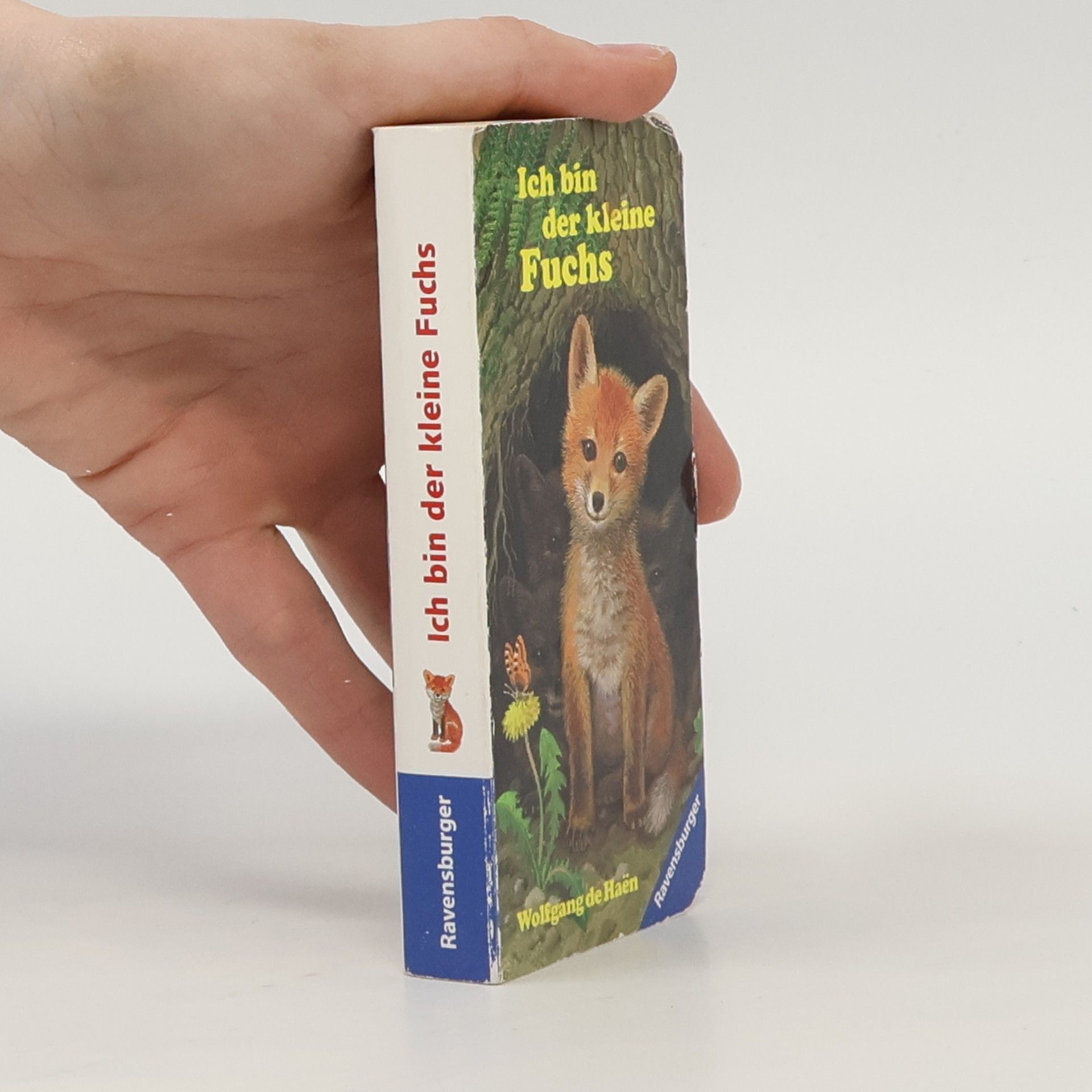 Amrei Fechner Ich bin der kleine Fuchs