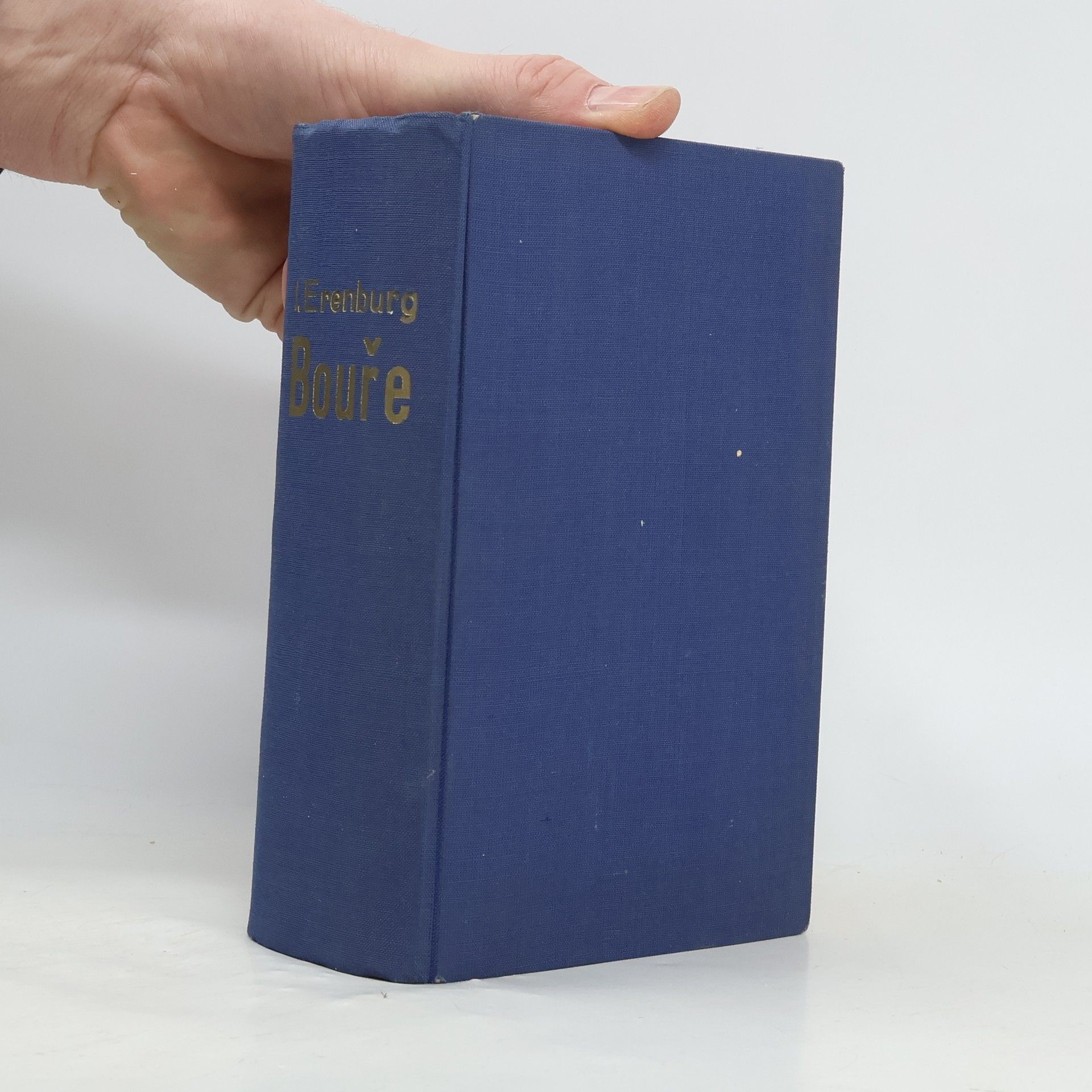 Ilja Erenburg Bouře