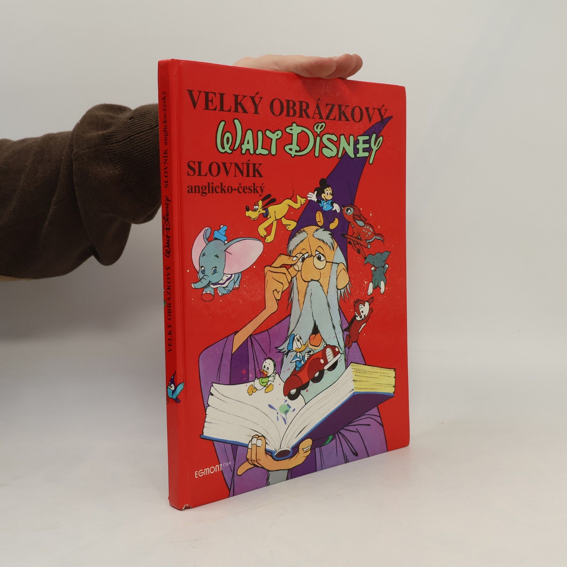Walt Disney Velký obrázkový slovník anglicko-český
