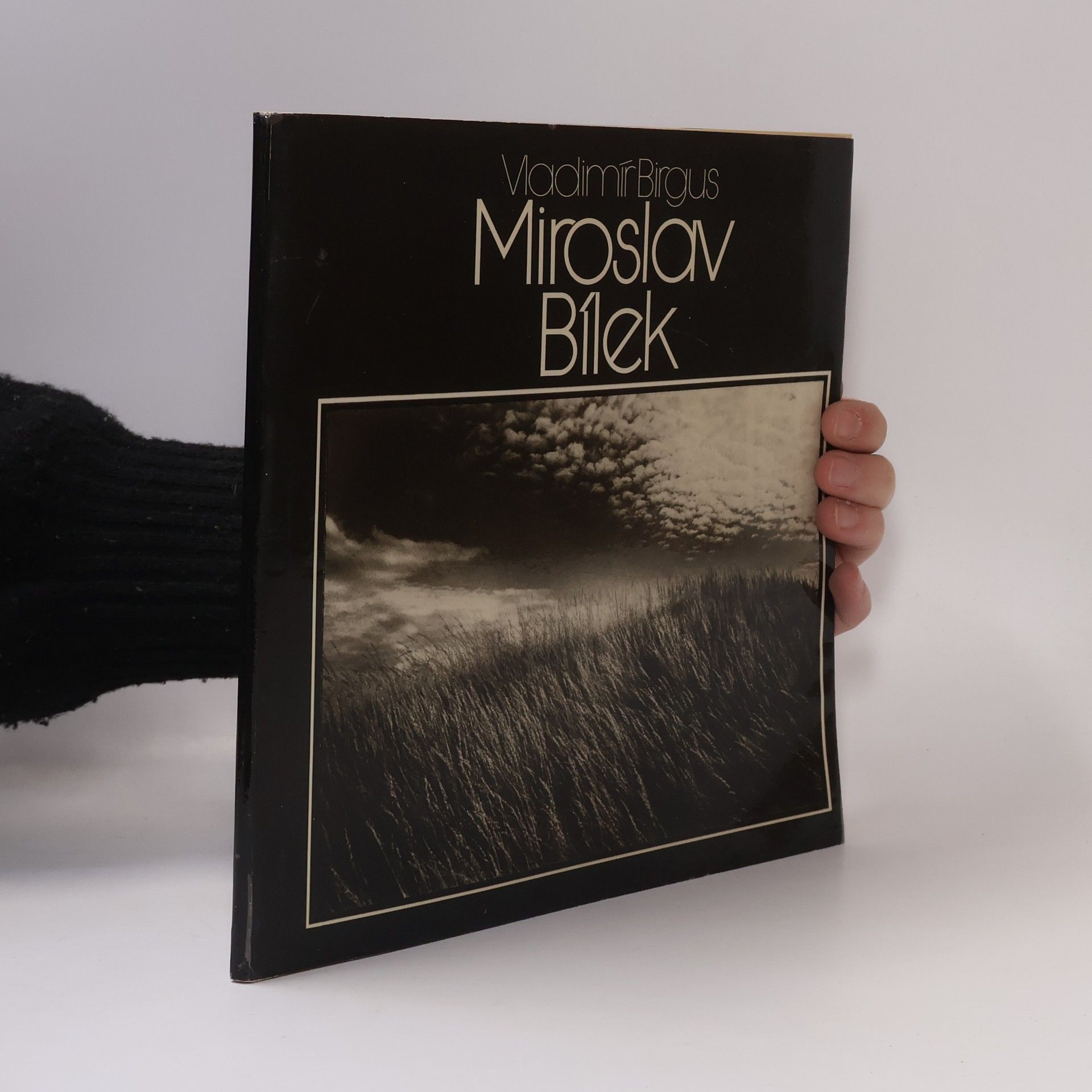 Vladimír Birgus Miroslav Bílek