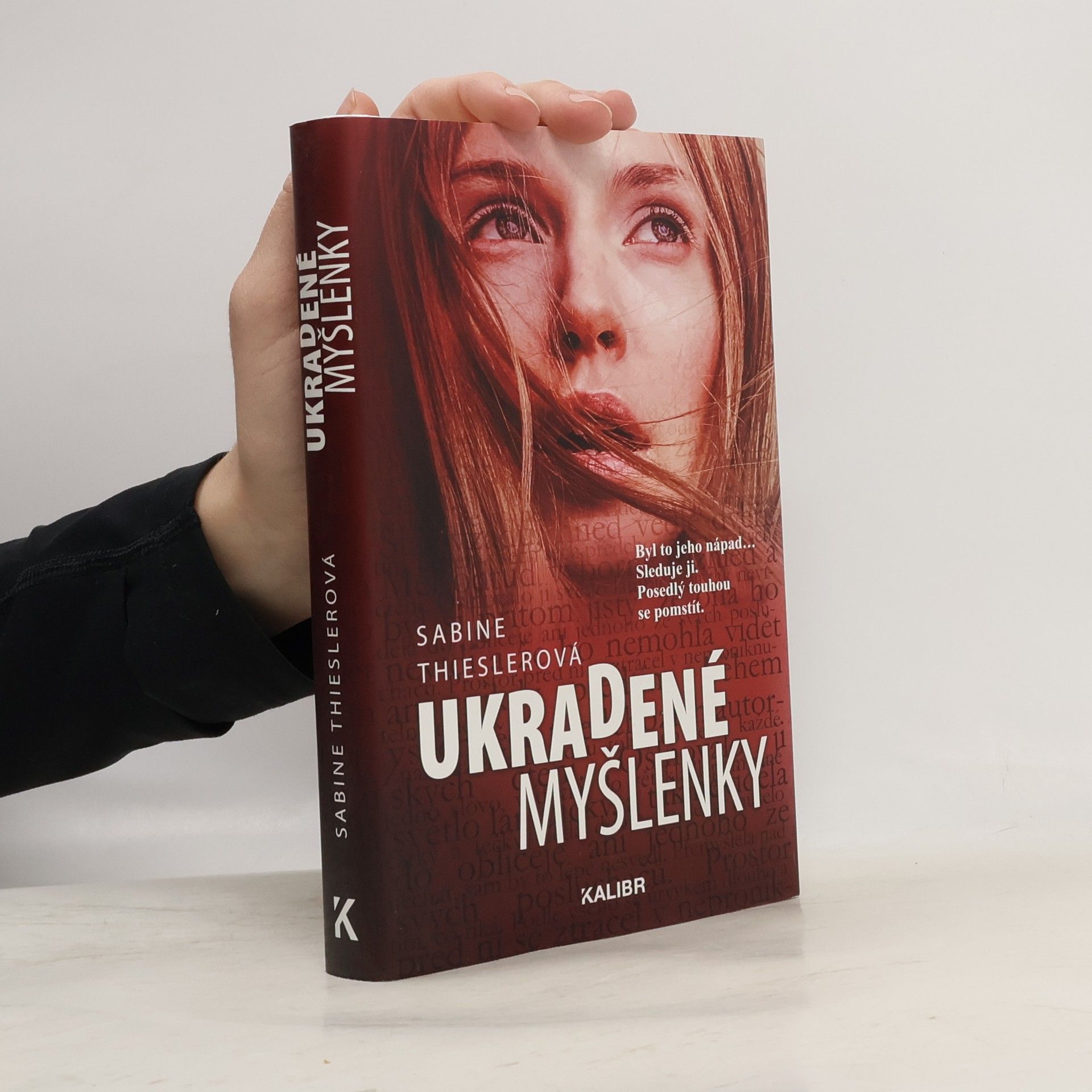 Sabine Thiesler Ukradené myšlenky
