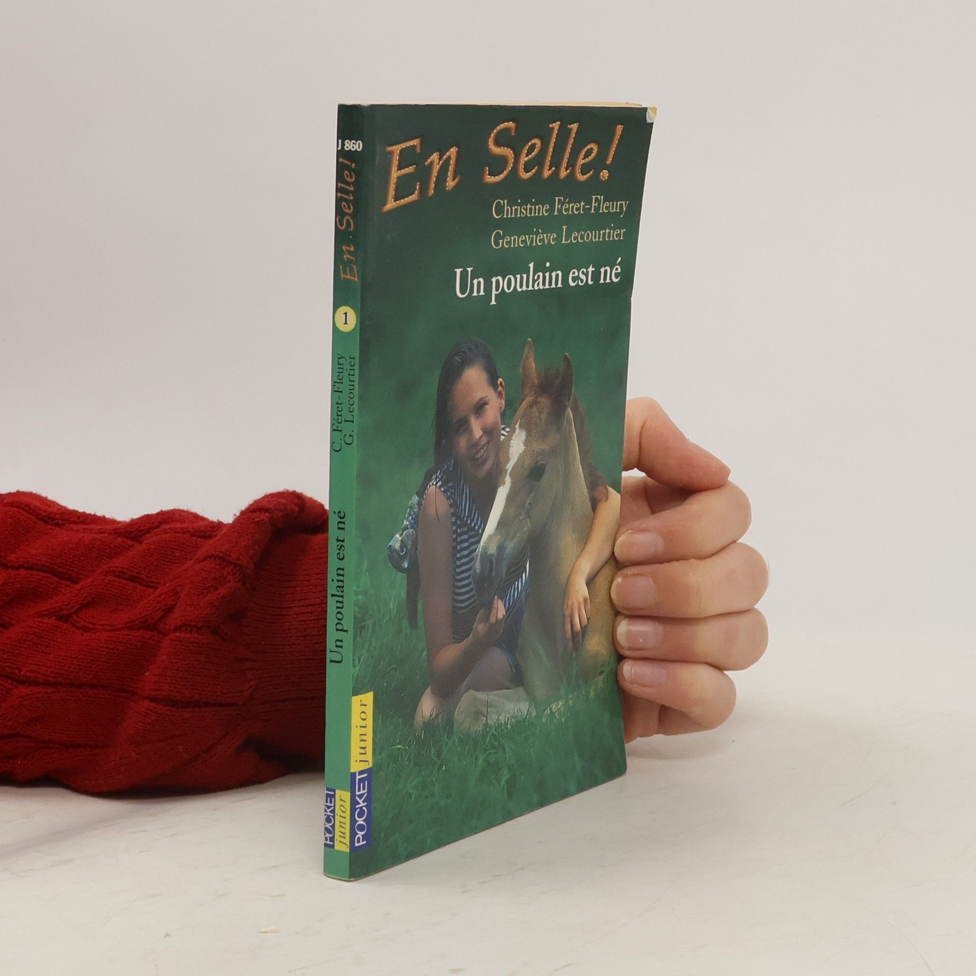 Christine Féret-Fleury Un poulain est né