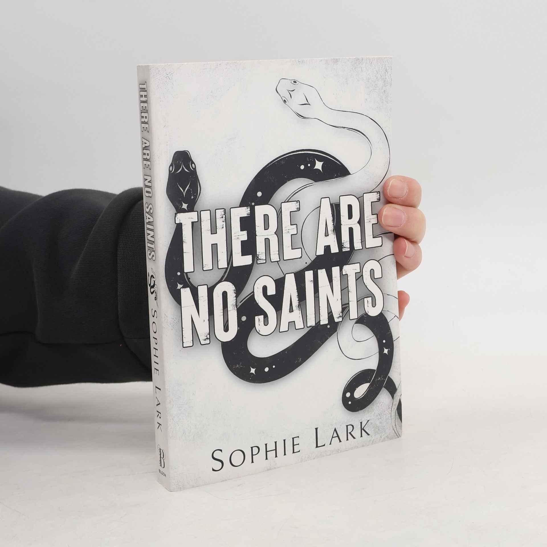 Sophie Lark There Are No Saints