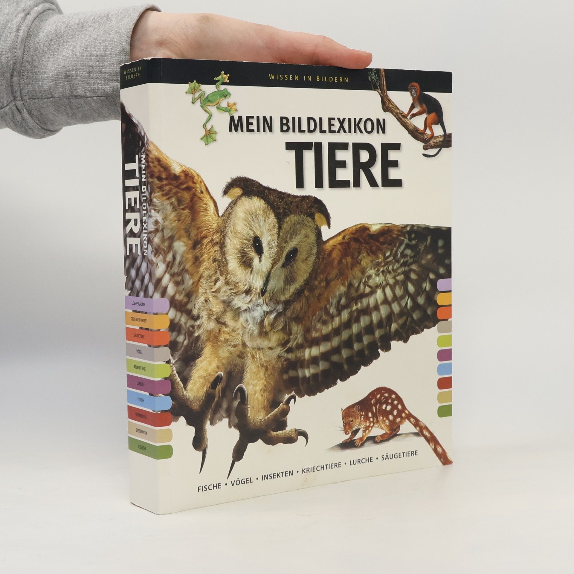 Autorenkollektiv Mein Bildlexikon Tiere