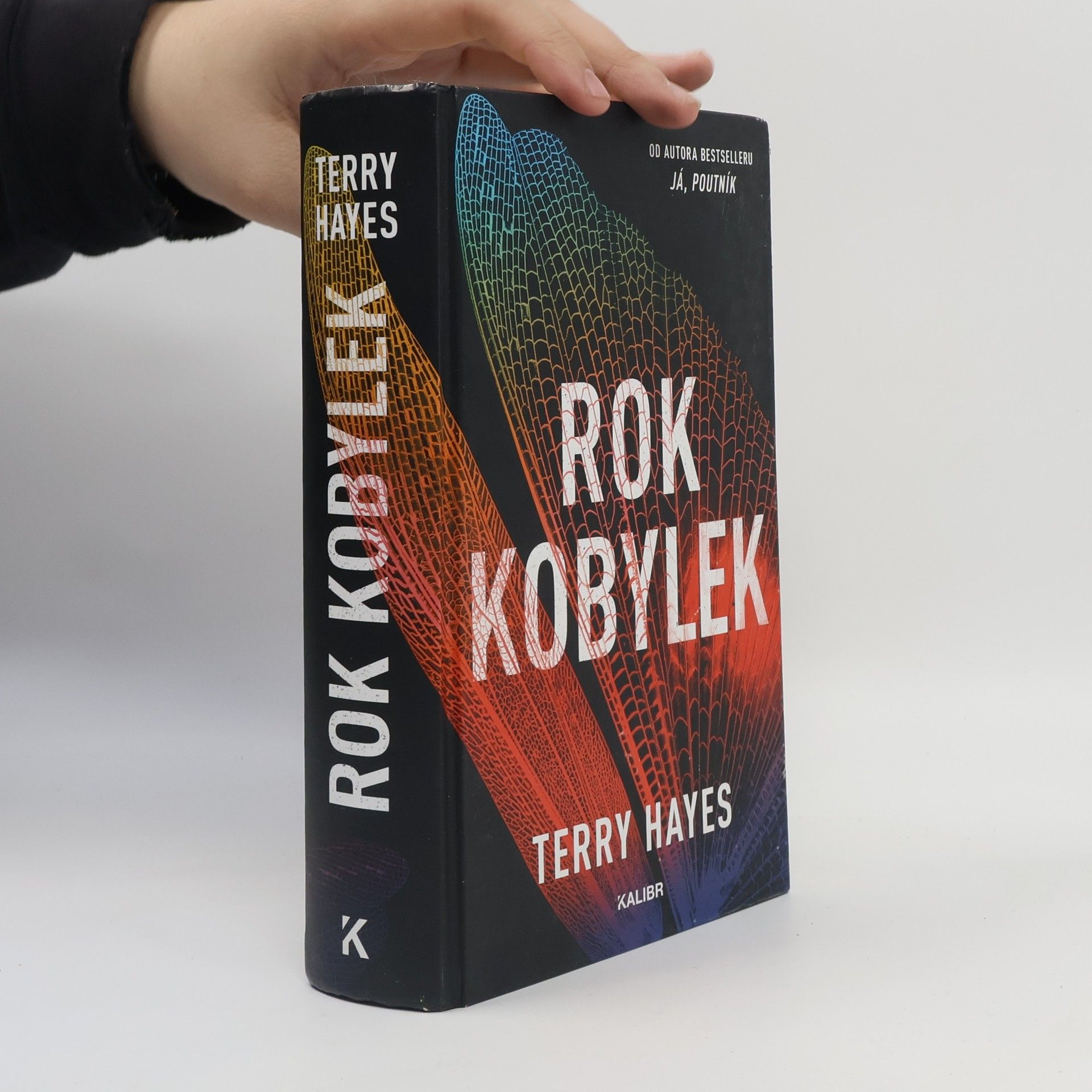 Terry Hayes Rok kobylek