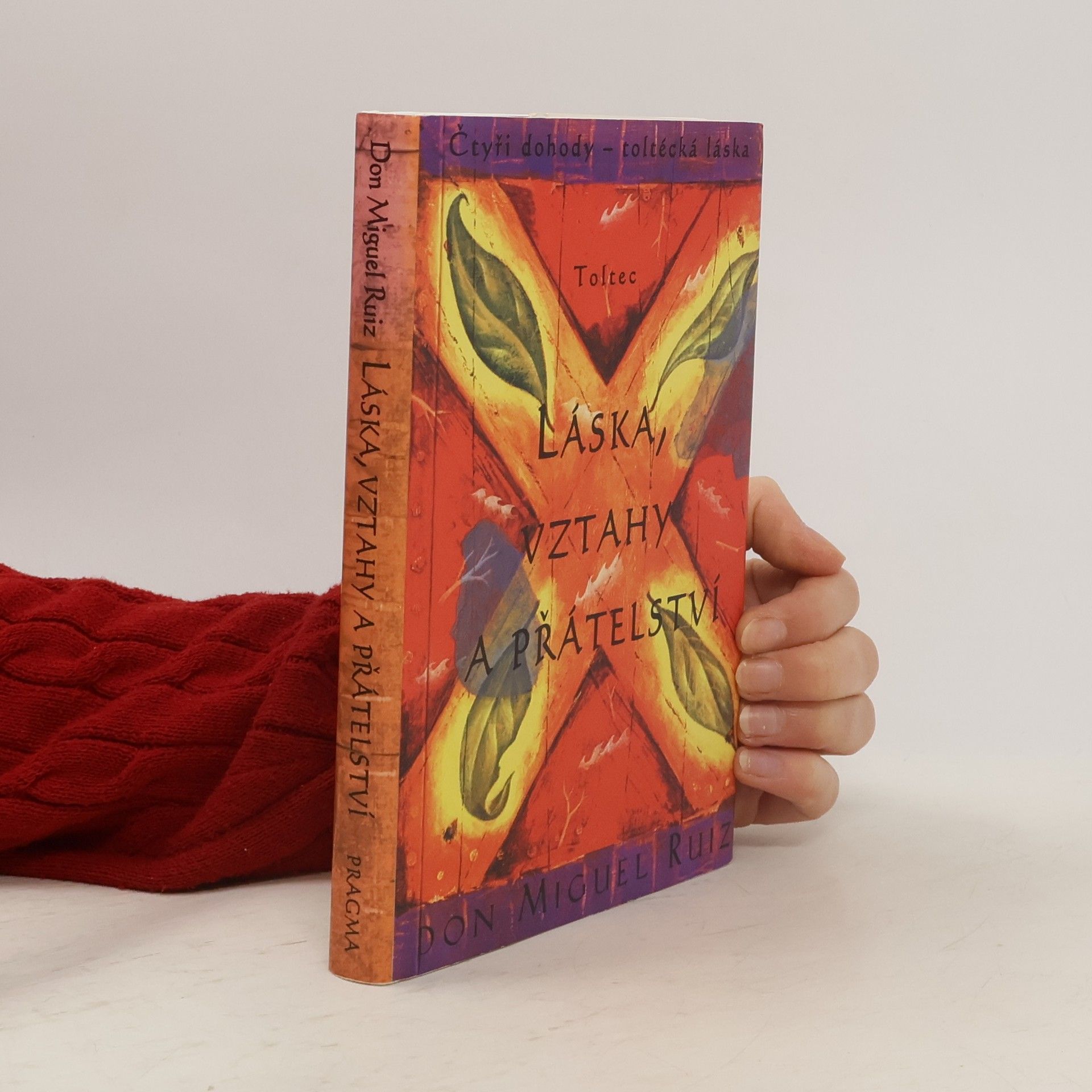 Don Miguel Ruiz Láska, vztahy a přátelství