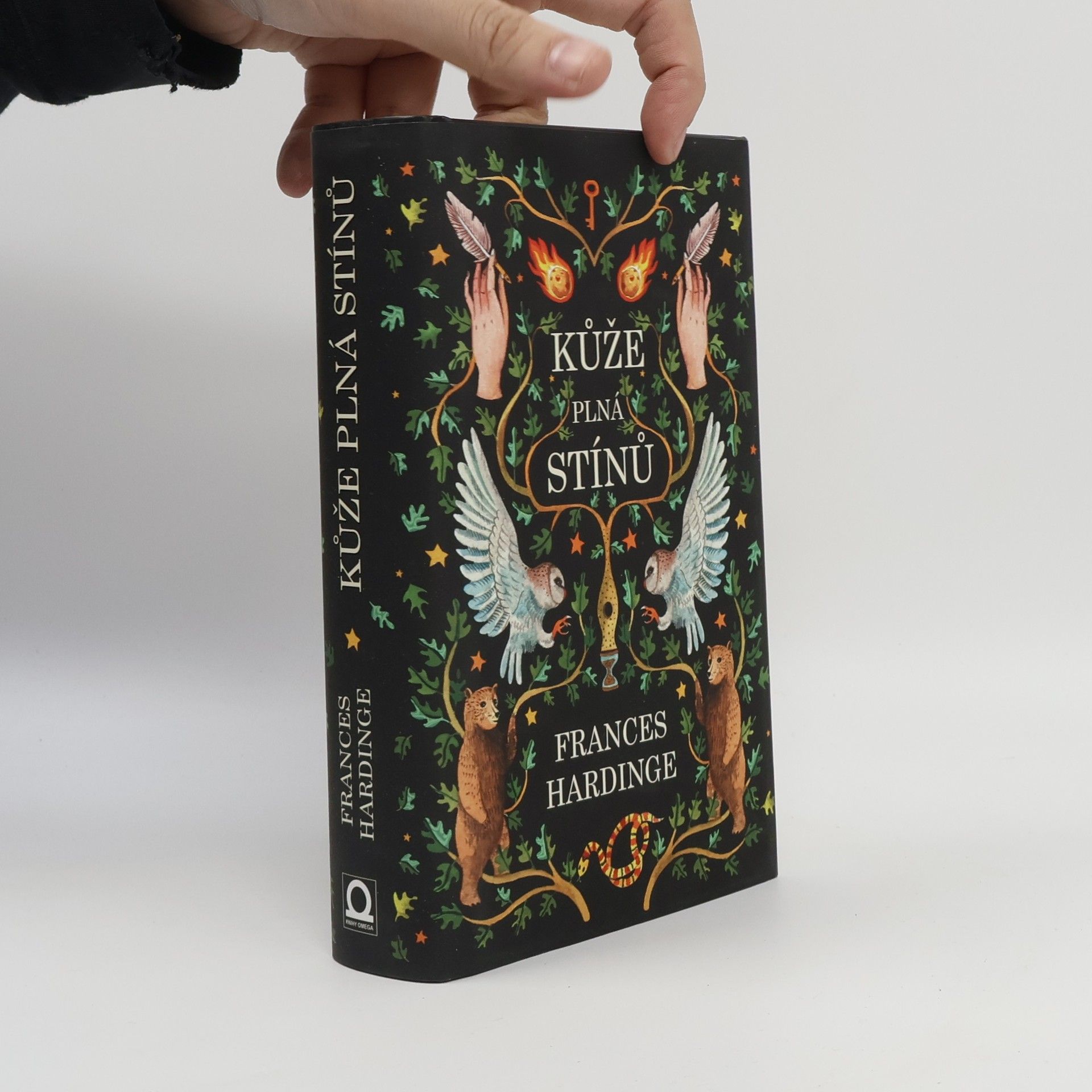 Frances Hardinge Kůže plná stínů