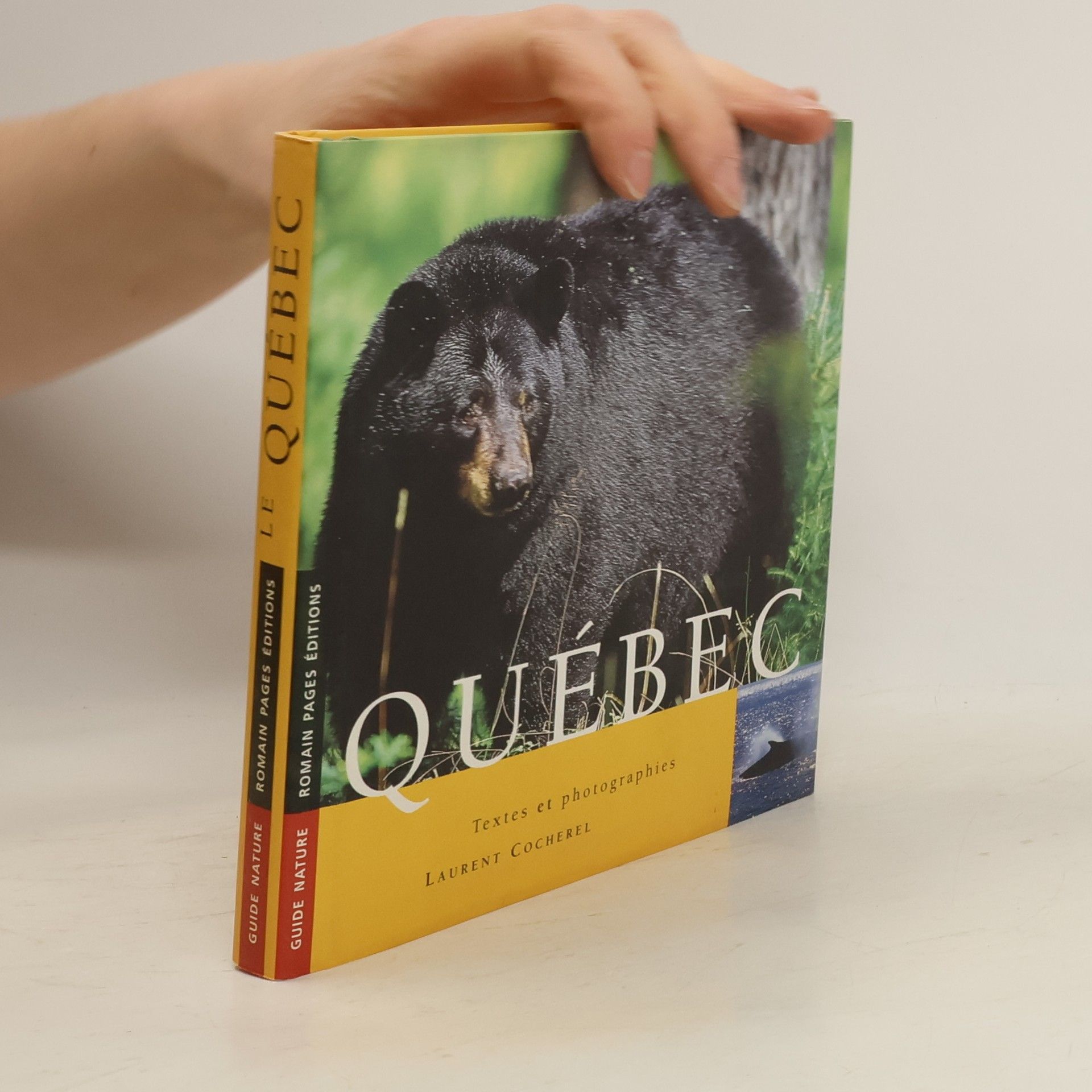 Laurent Cocherel Québec