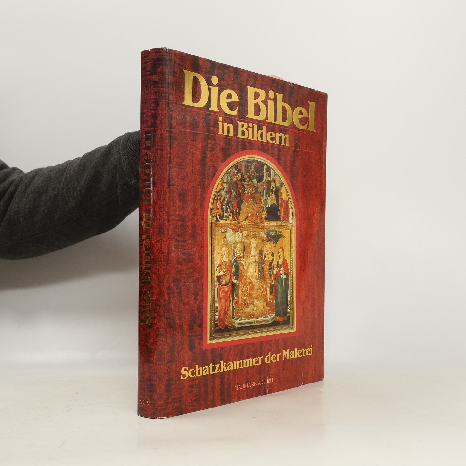 Kolektiv autorů Die Bibel in Bildern. Schatzkammer der Malerei