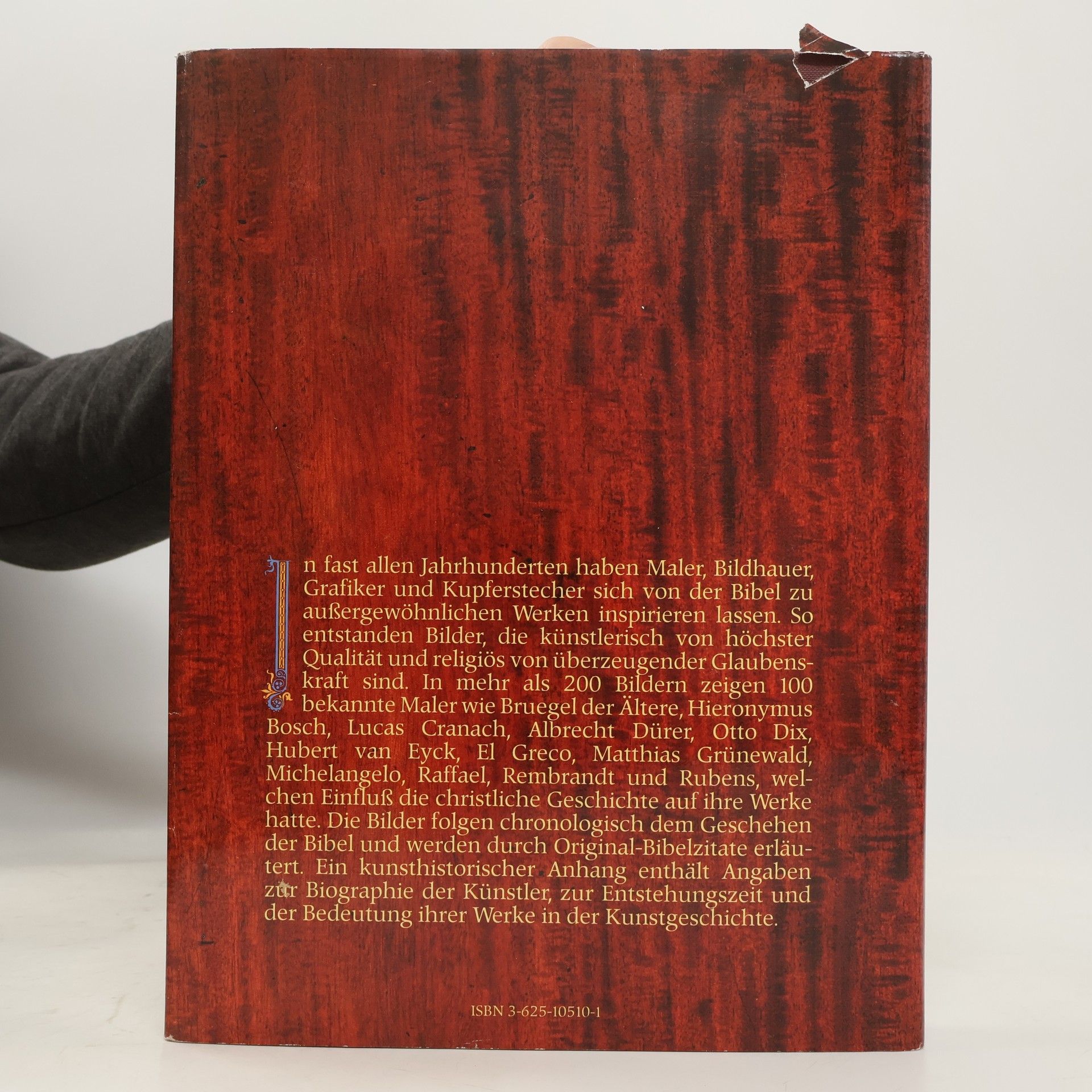 Kolektiv autorů Die Bibel in Bildern. Schatzkammer der Malerei