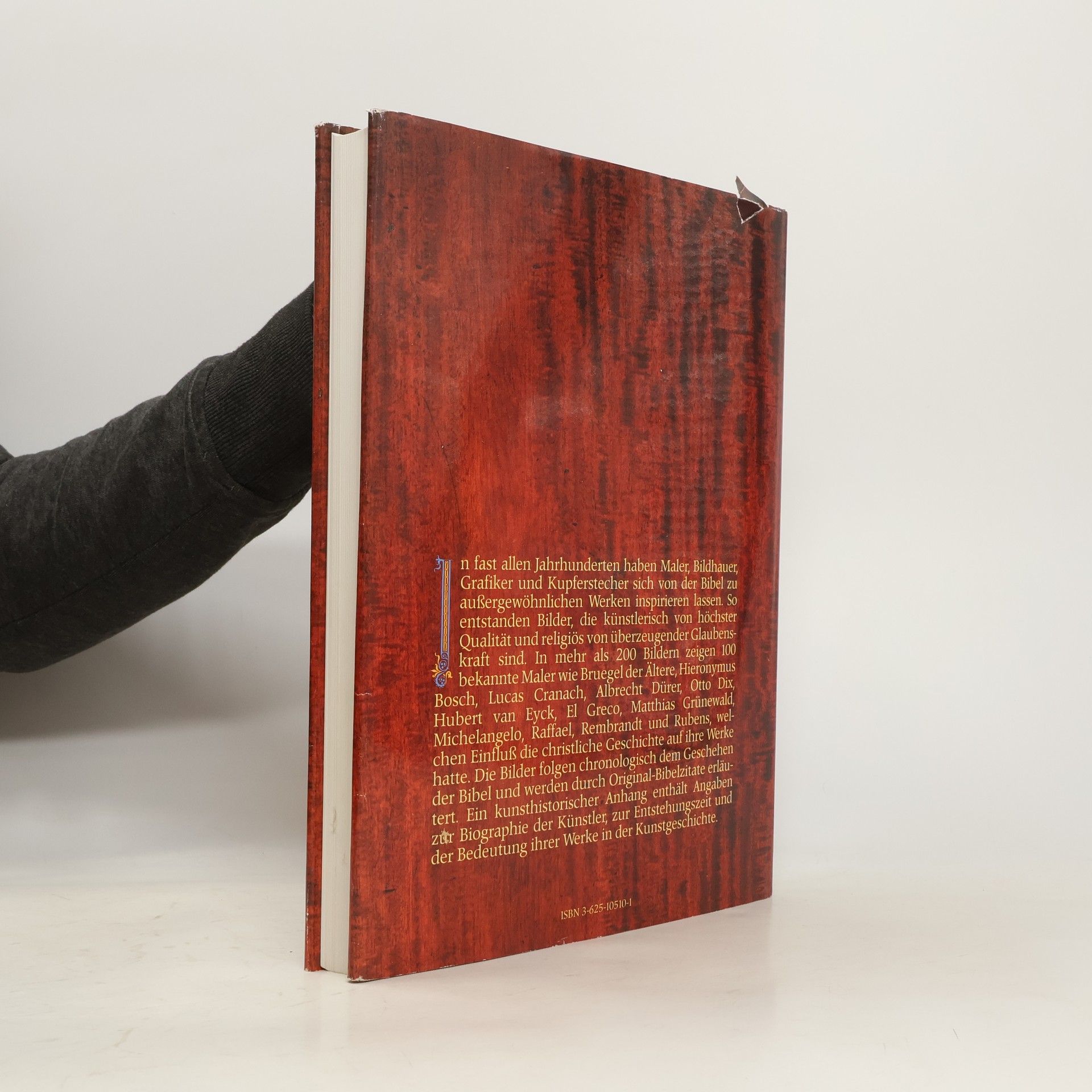 Kolektiv autorů Die Bibel in Bildern. Schatzkammer der Malerei