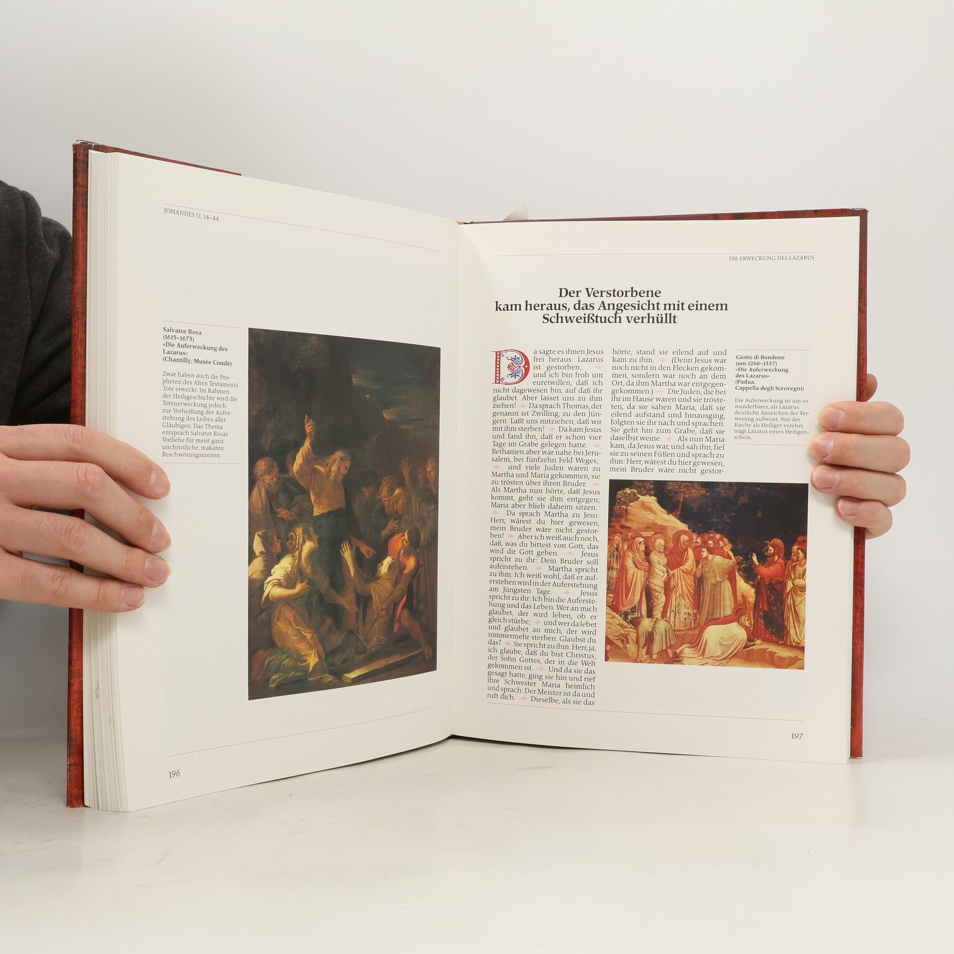 Kolektiv autorů Die Bibel in Bildern. Schatzkammer der Malerei