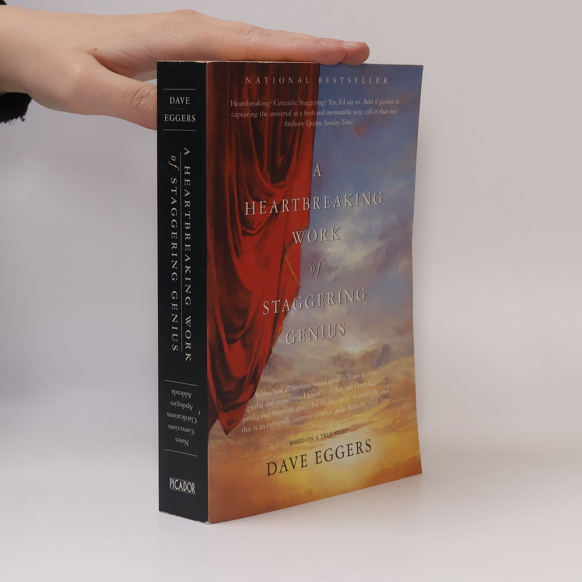 Dave Eggers A heartbreaking work of staggering genius