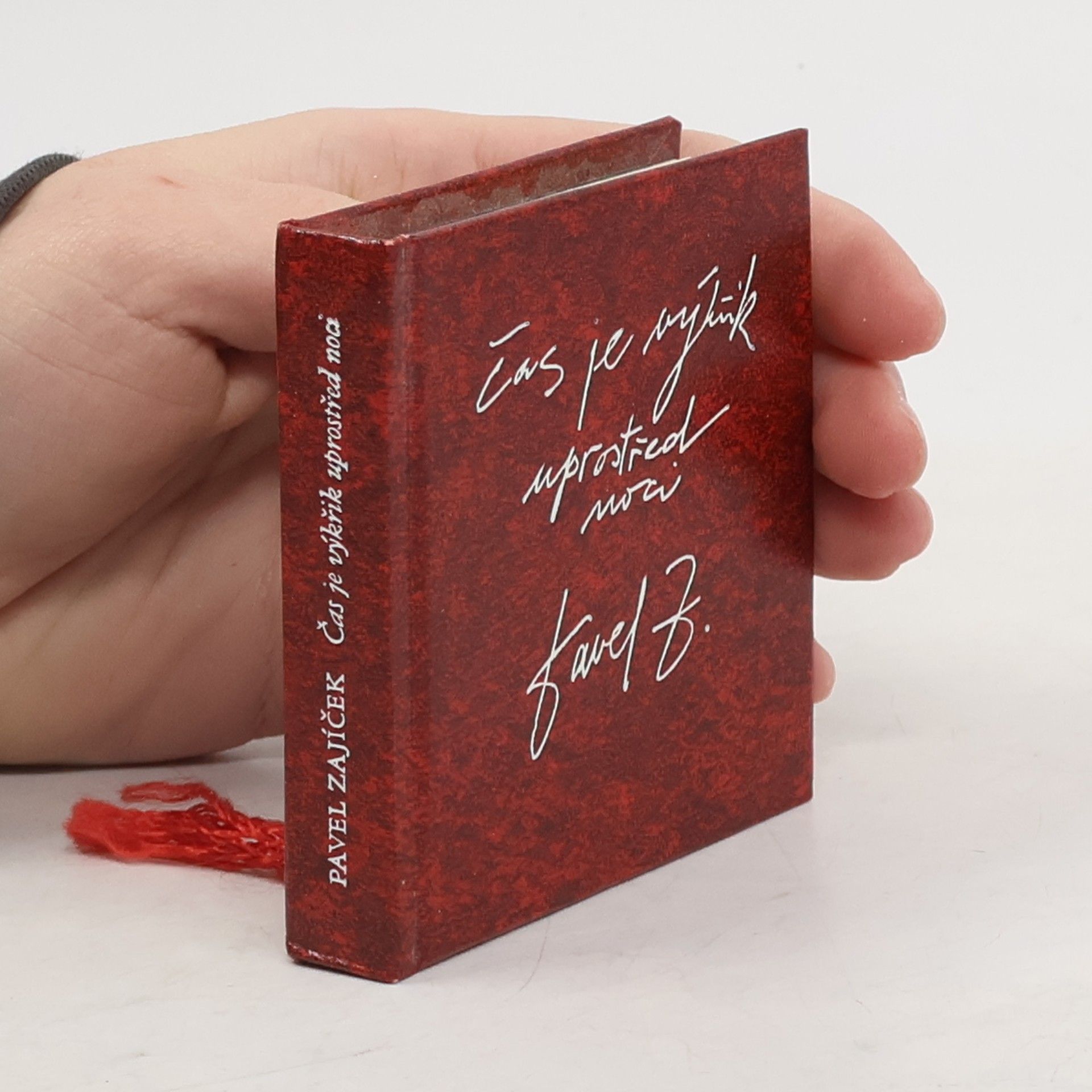 Pavel Zajíček Čas je výkřik uprostřed noci