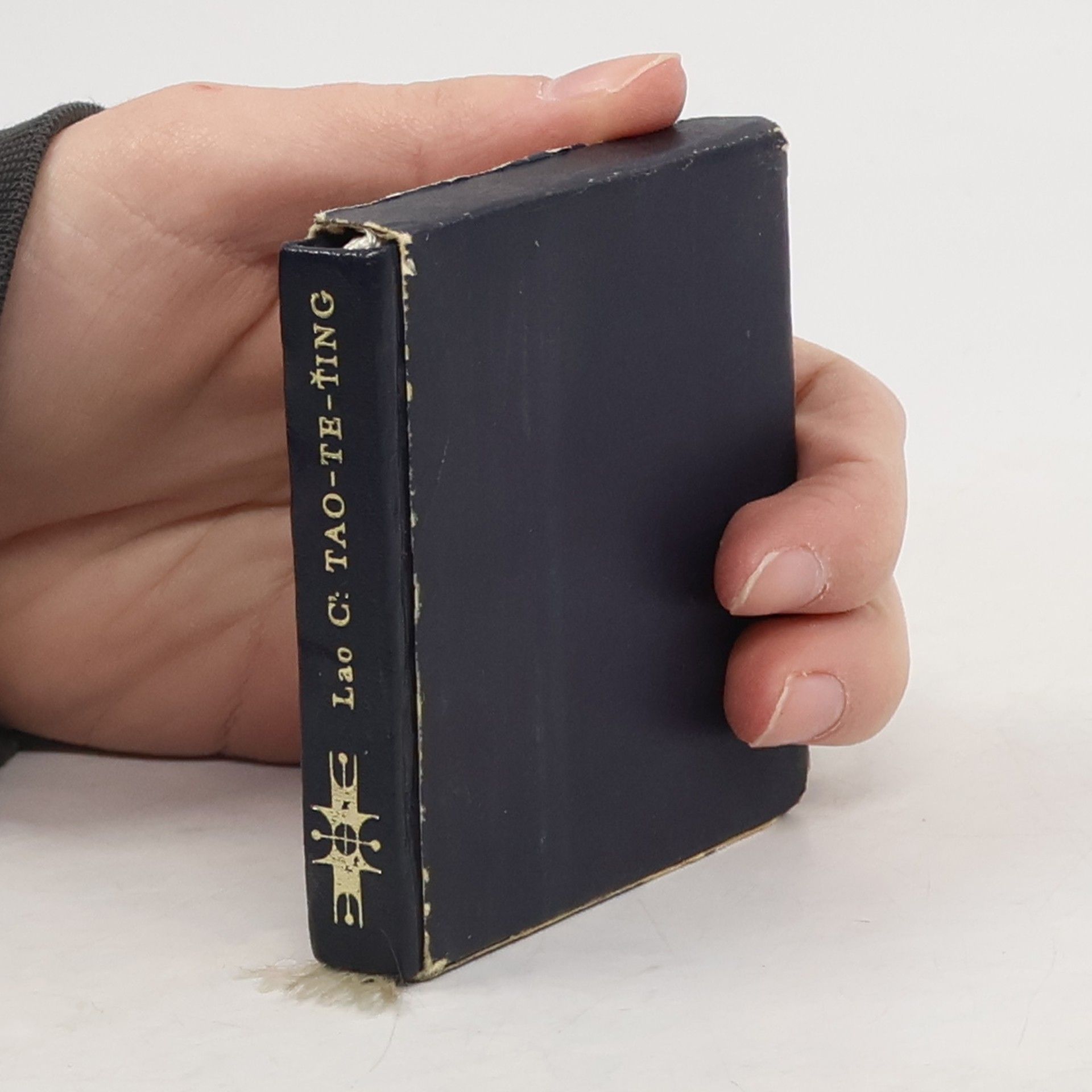 Jiří Navrátil Tao-te-ťing