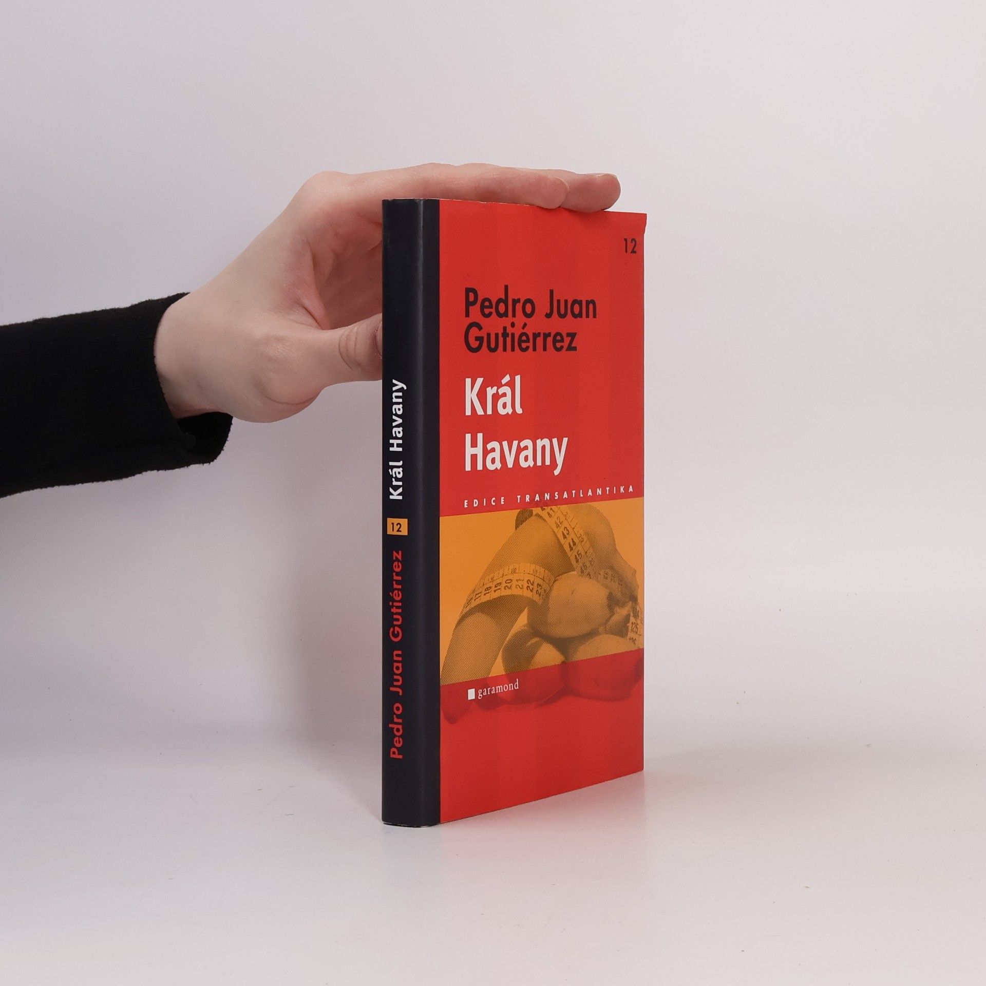 Pedro Juan Gutiérrez Král Havany