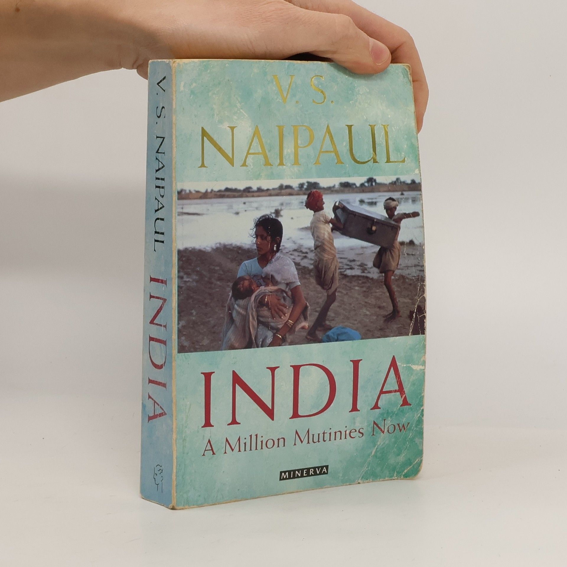 V. S. Naipaul India