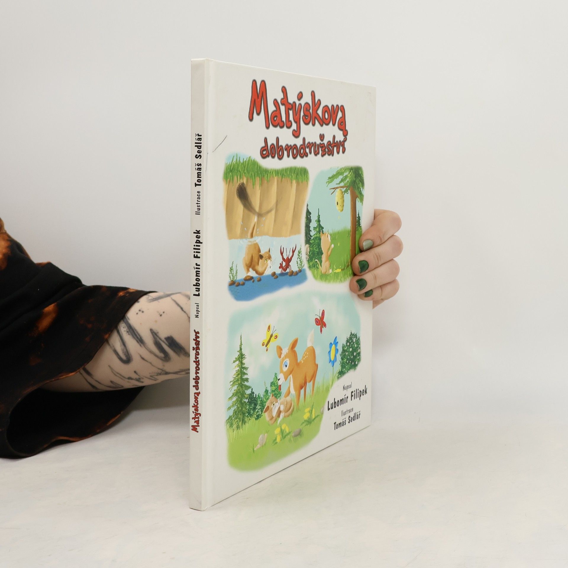 Matyskove dobrodružstvá