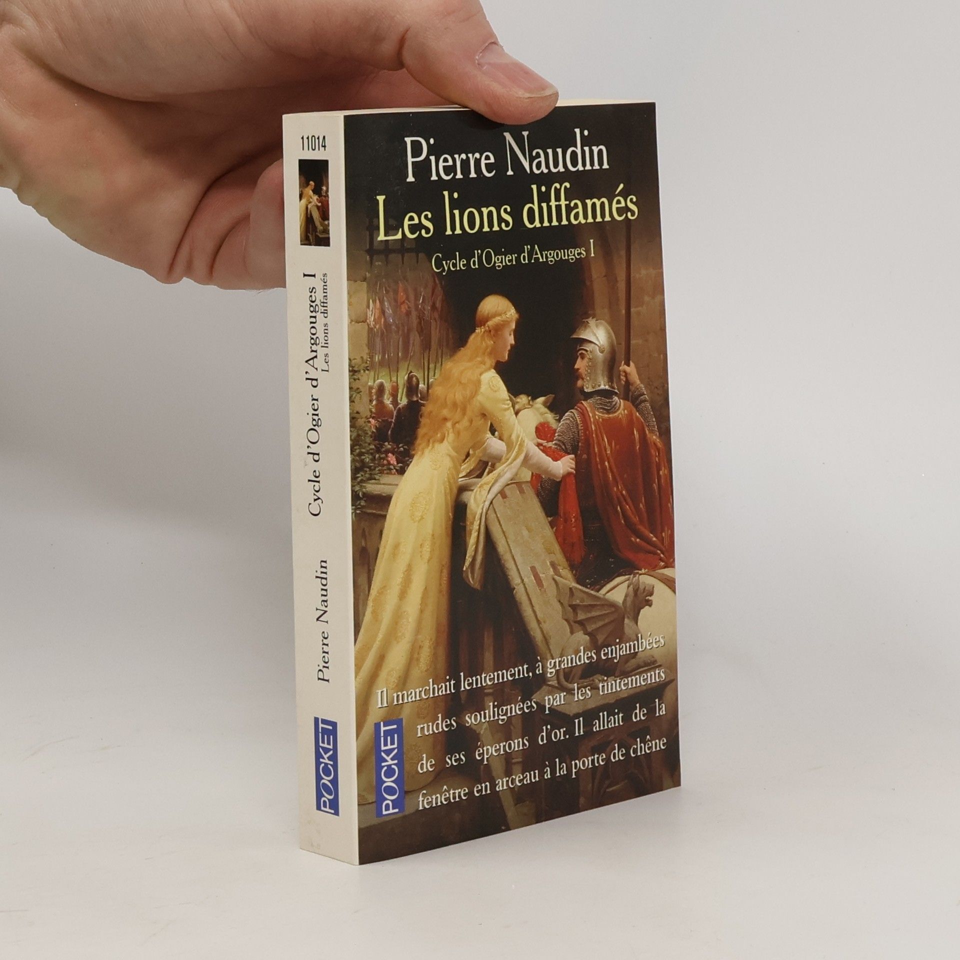Pierre Naudin Les lions diffamés