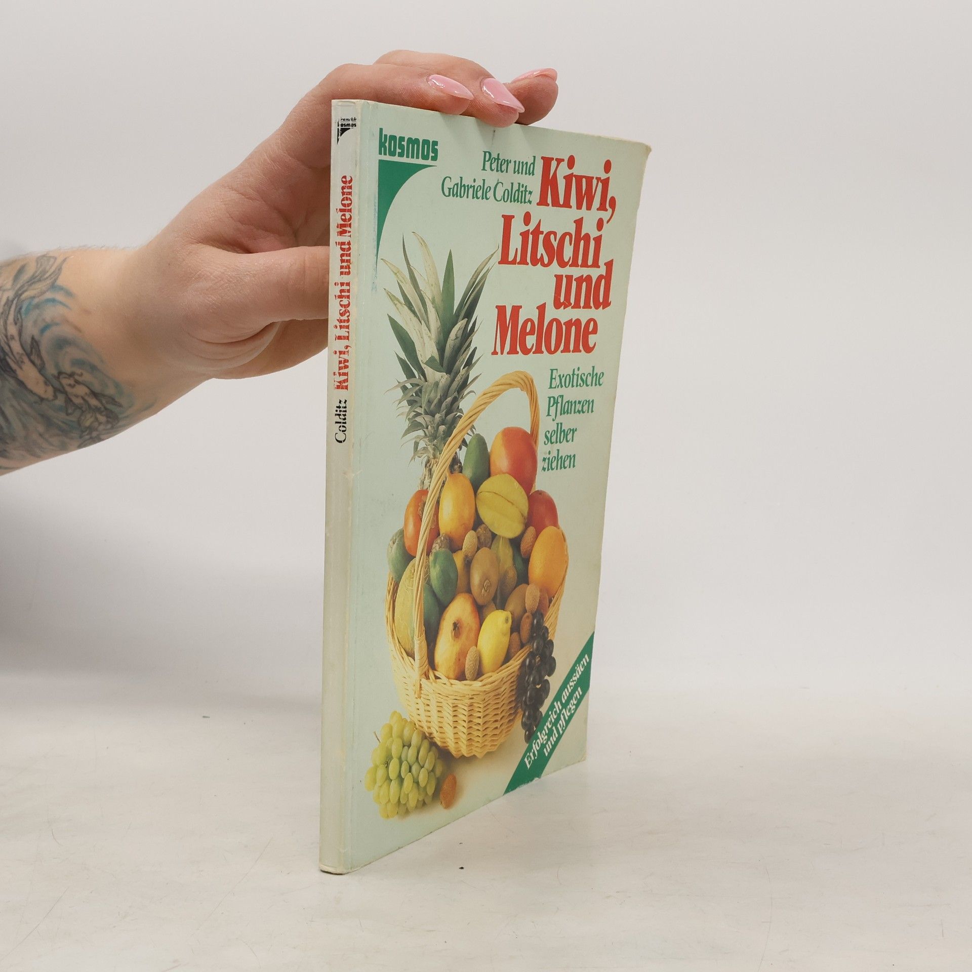 Kiwi, Litschi und Melone