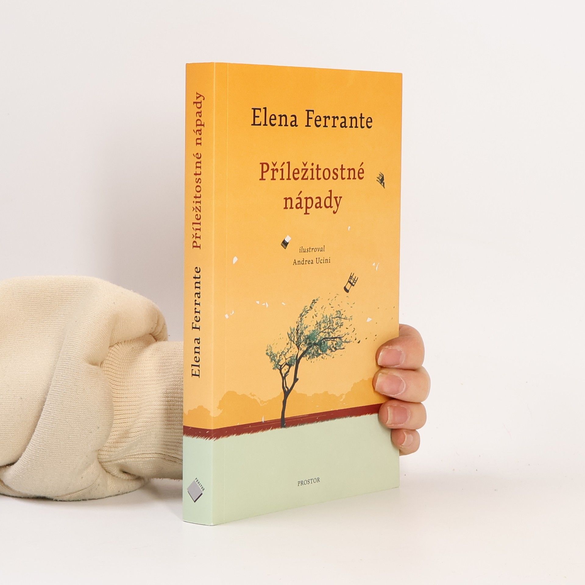 Elena Ferrante Příležitostné nápady