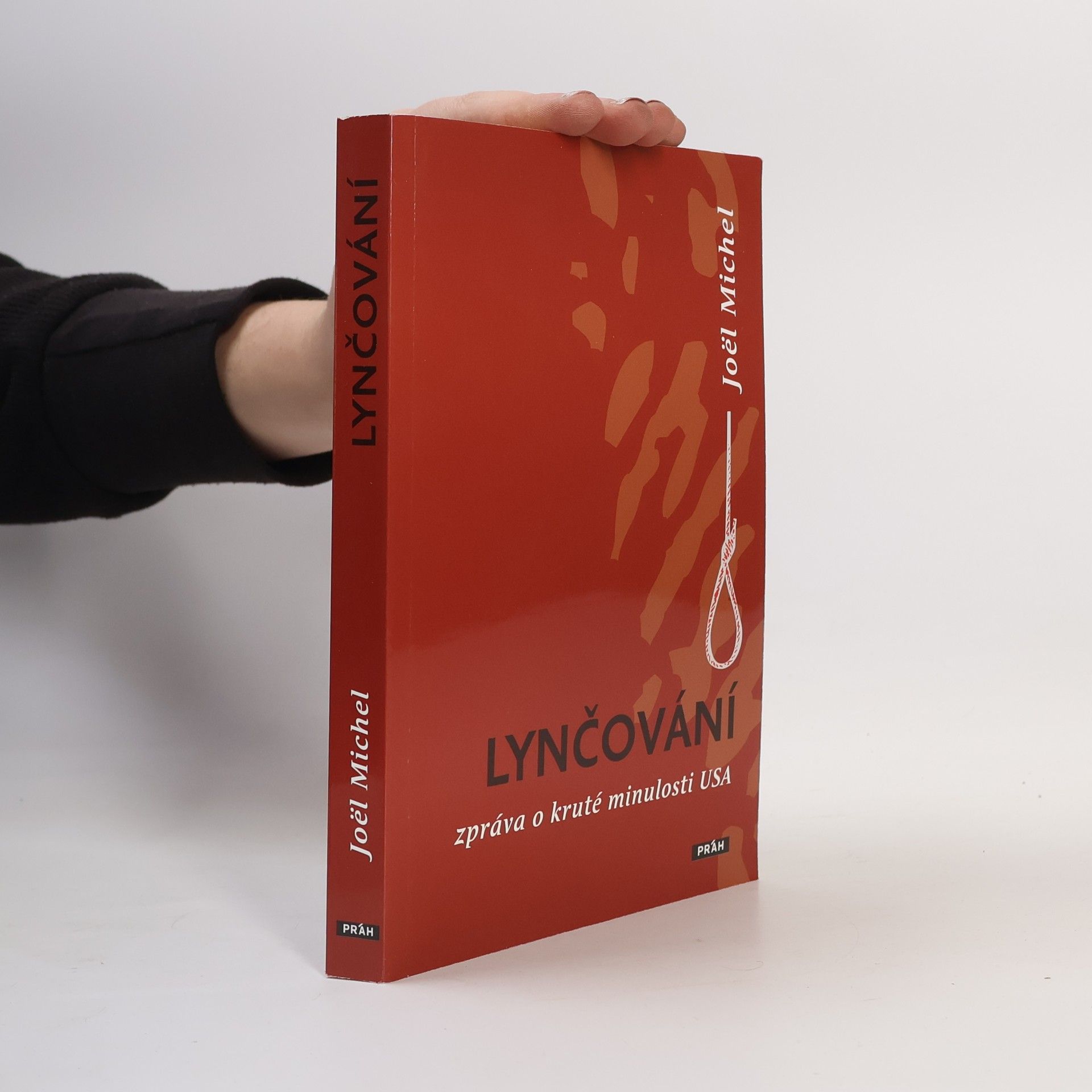 Joël Michel Lynčování - Zpráva o kruté minulosti USA