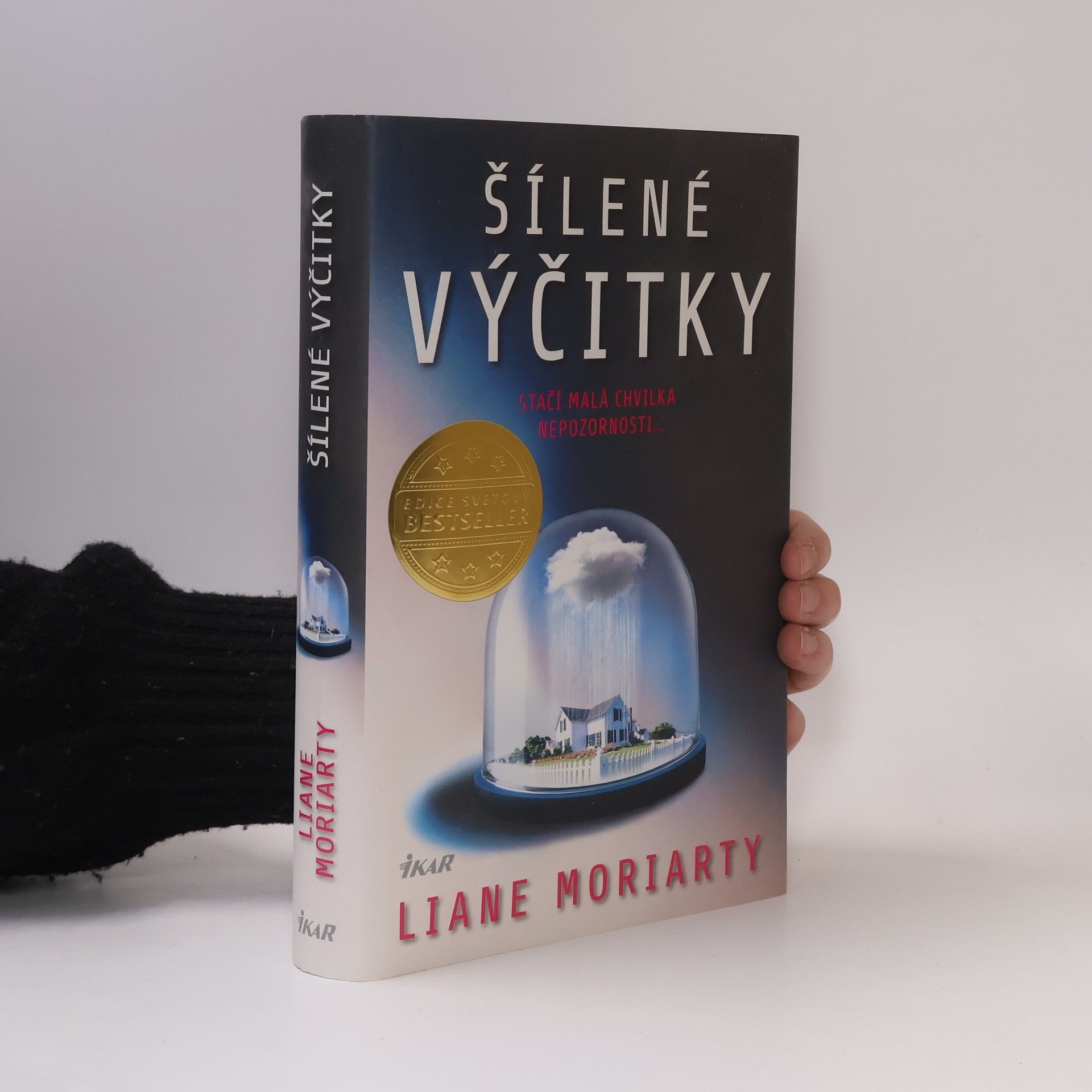 Liane Moriarty Šílené výčitky