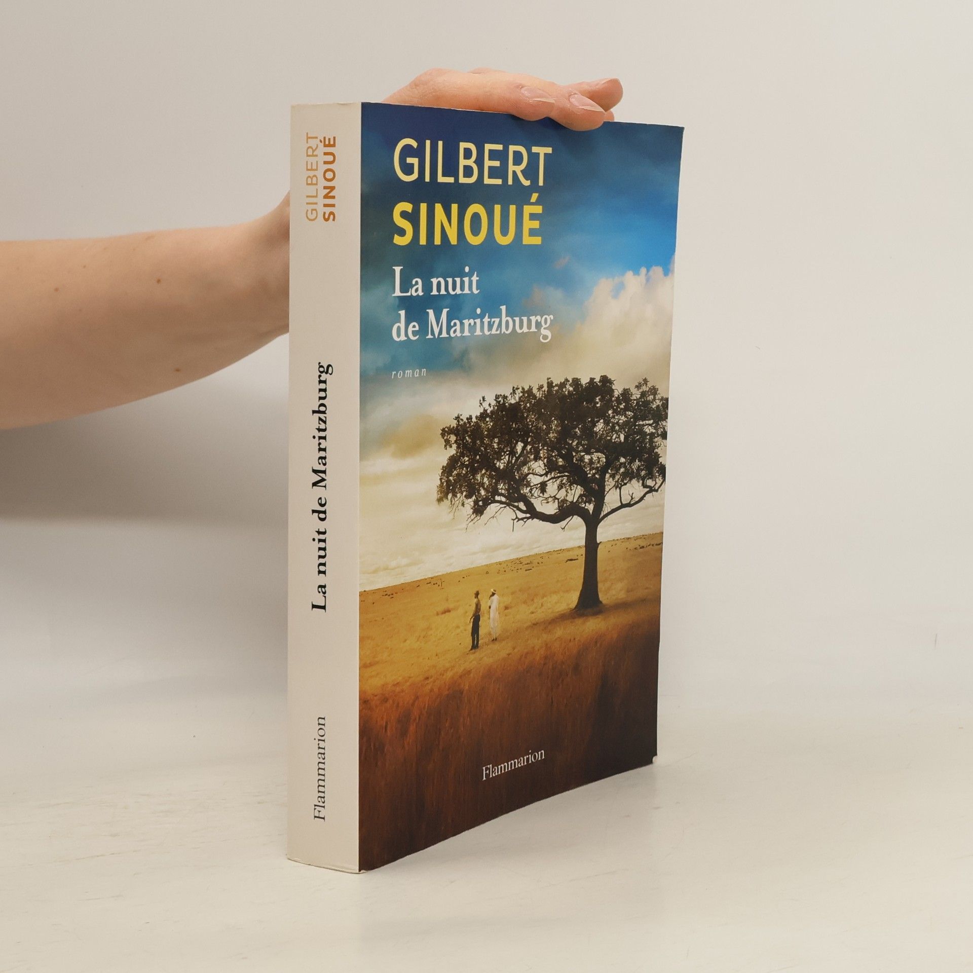 Gilbert Sinoué La nuit de Maritzburg