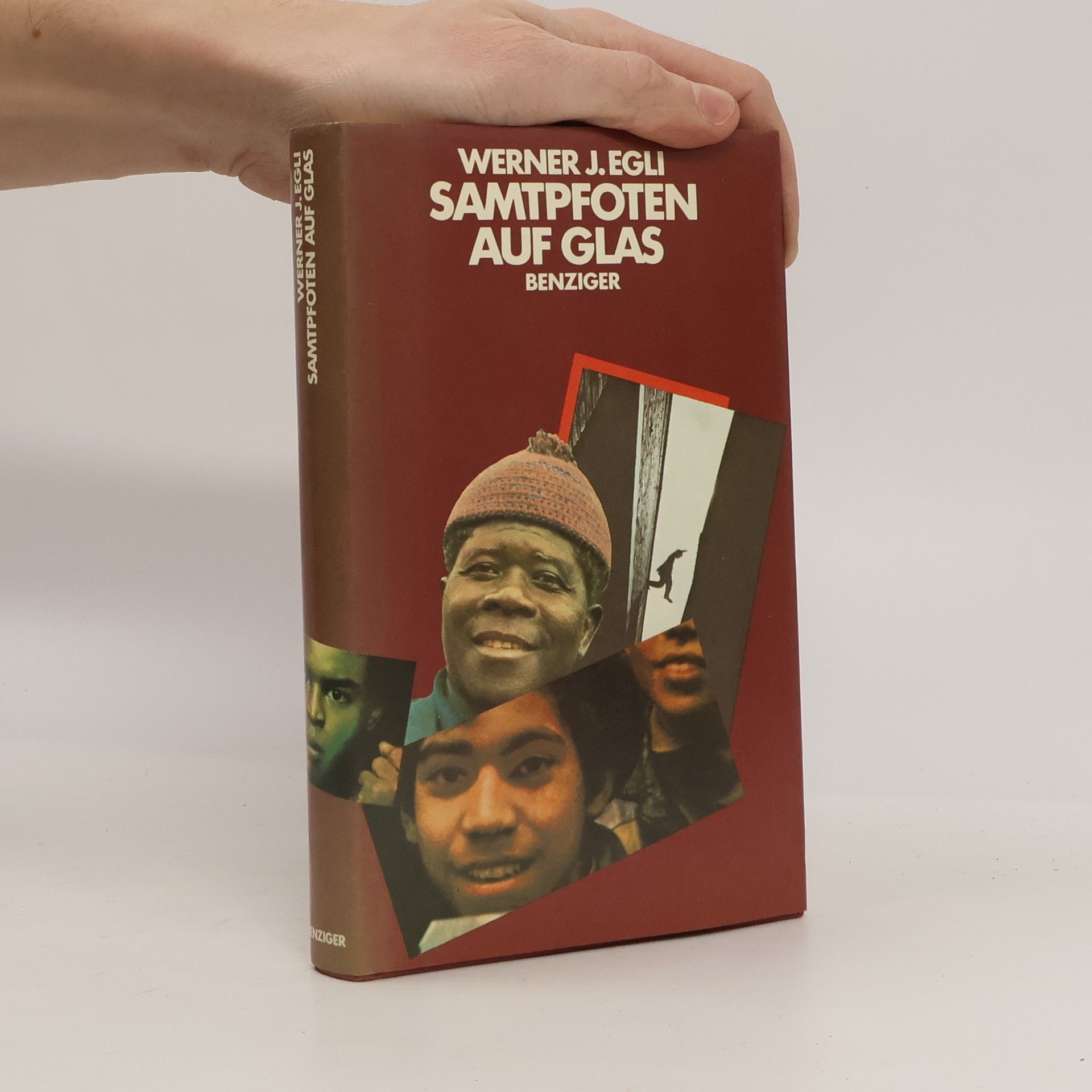 Werner J. Egli Samtpfoten auf Glas