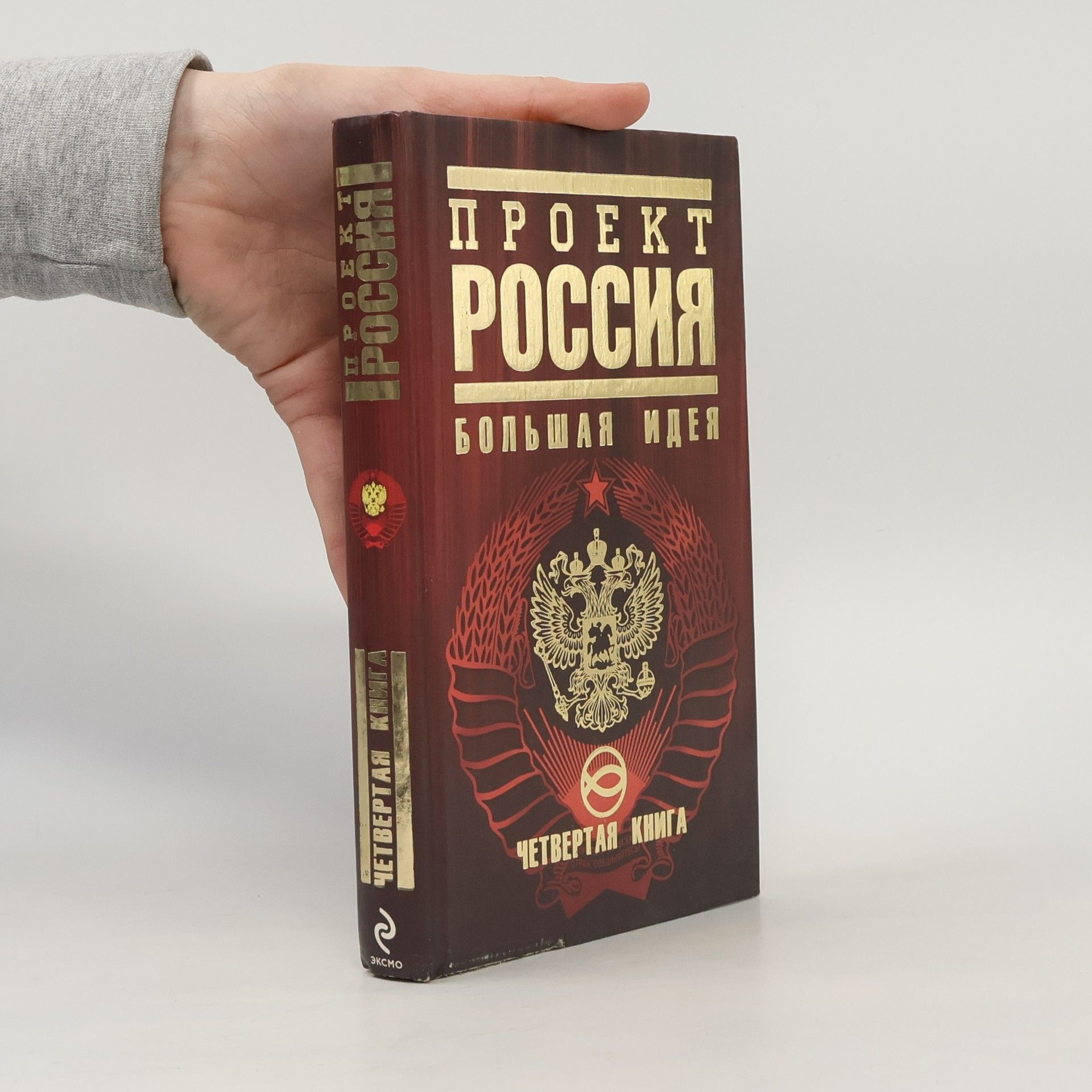 Юрий Шалыганов Проект Россия. Proyekt Rossiya
