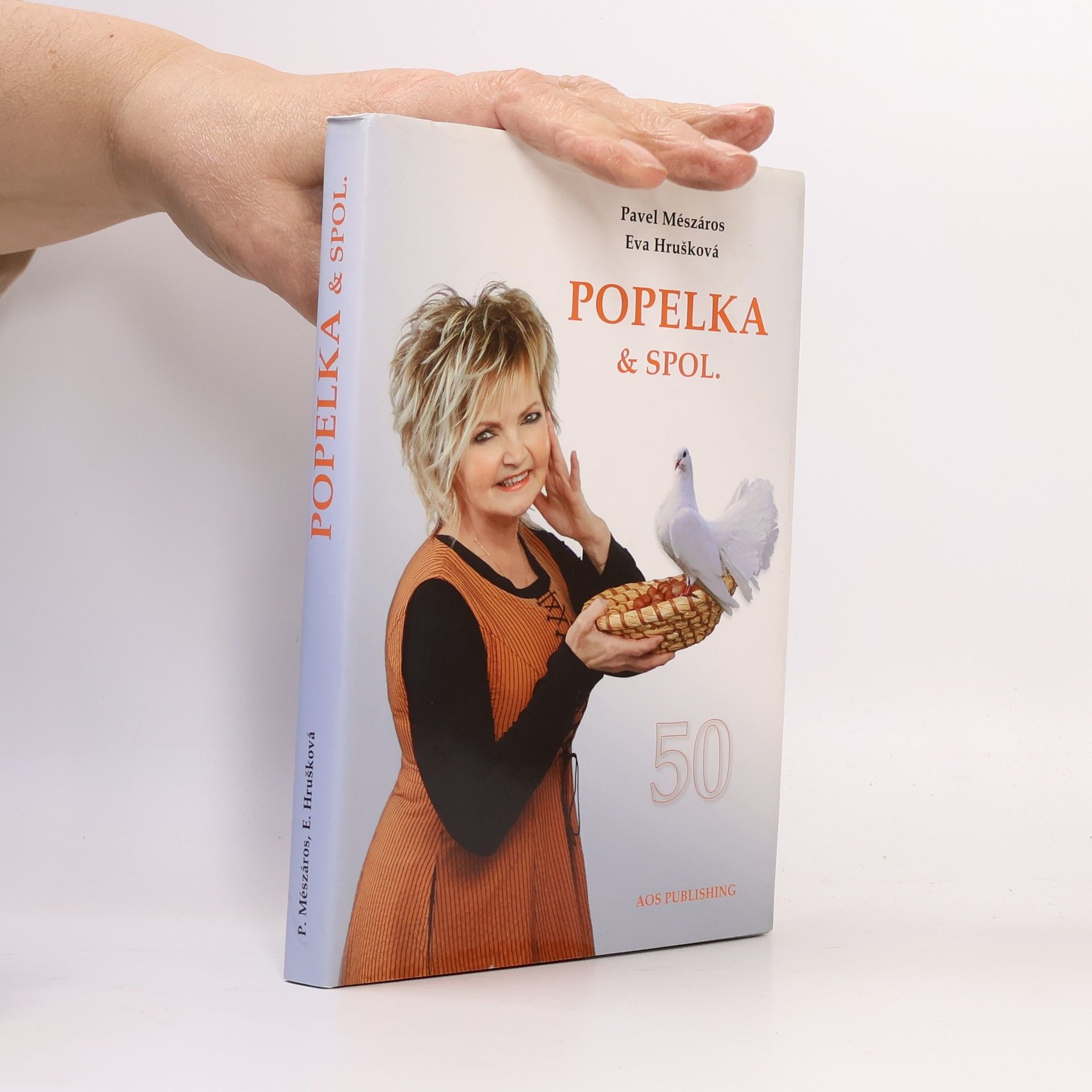 Pavel Mészáros Popelka & spol.