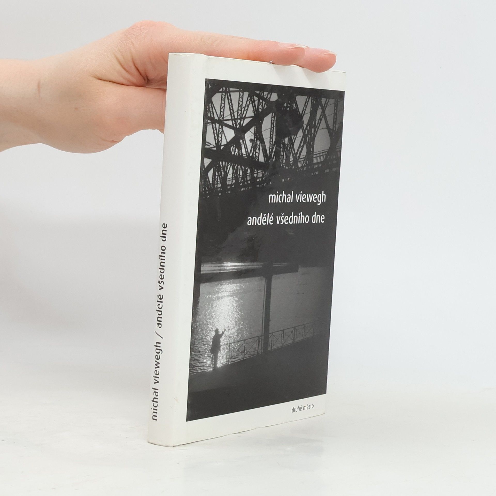 Michal Viewegh Andělé všedního dne