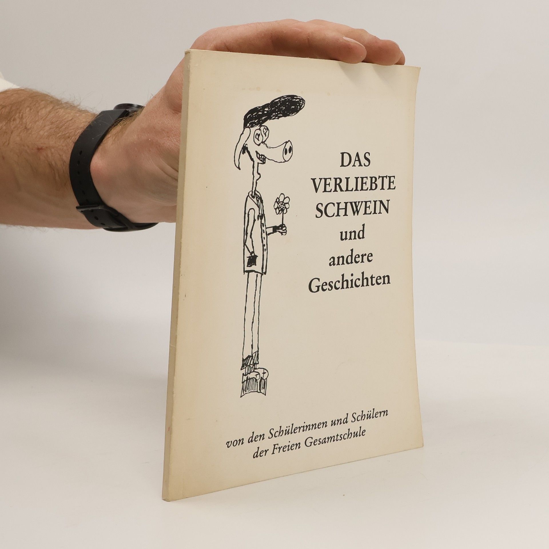 Autorenkollektiv Das verliebte Schwein und andere Geschichten