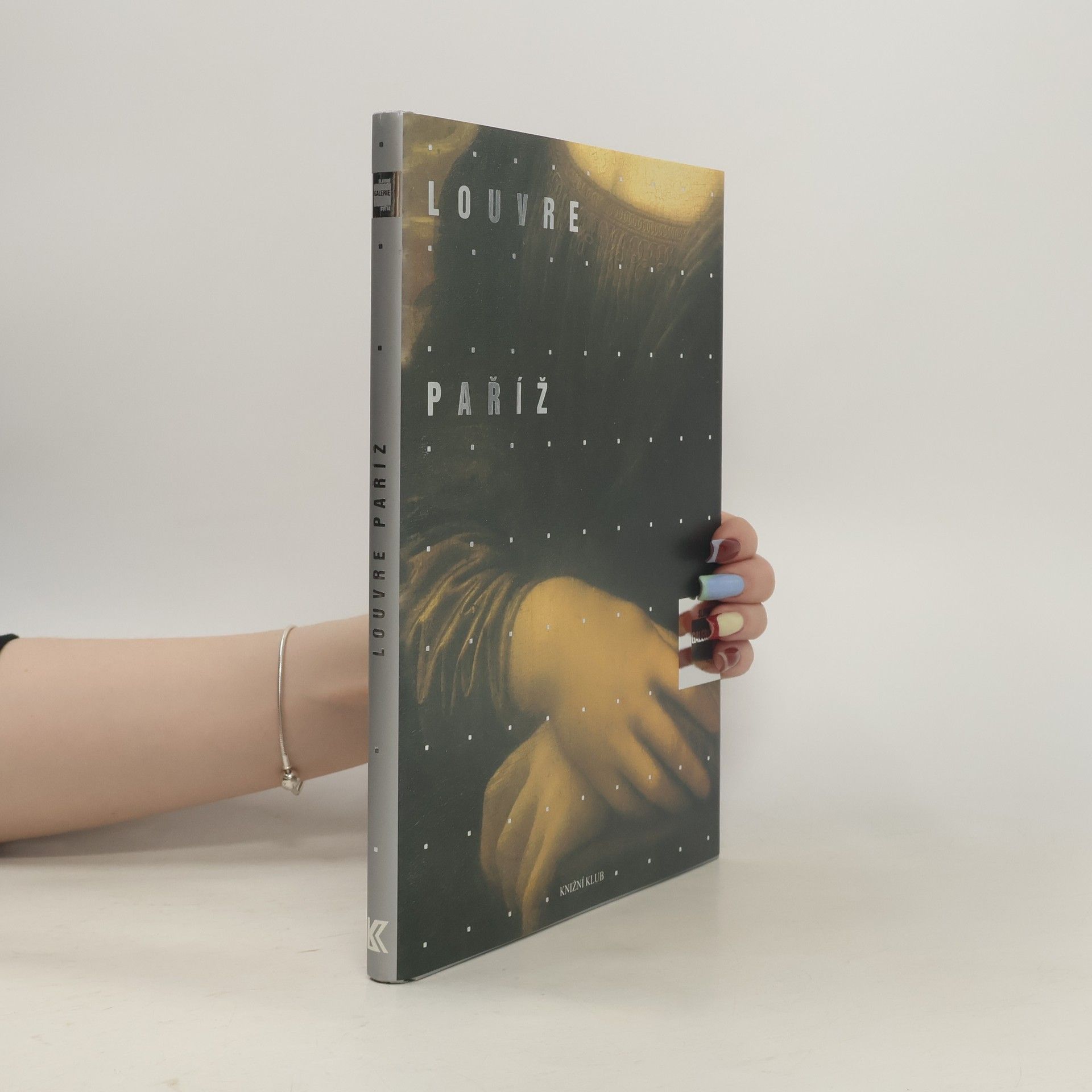 Alessandra Fregolent Slavné galerie světa. Louvre - Paříž