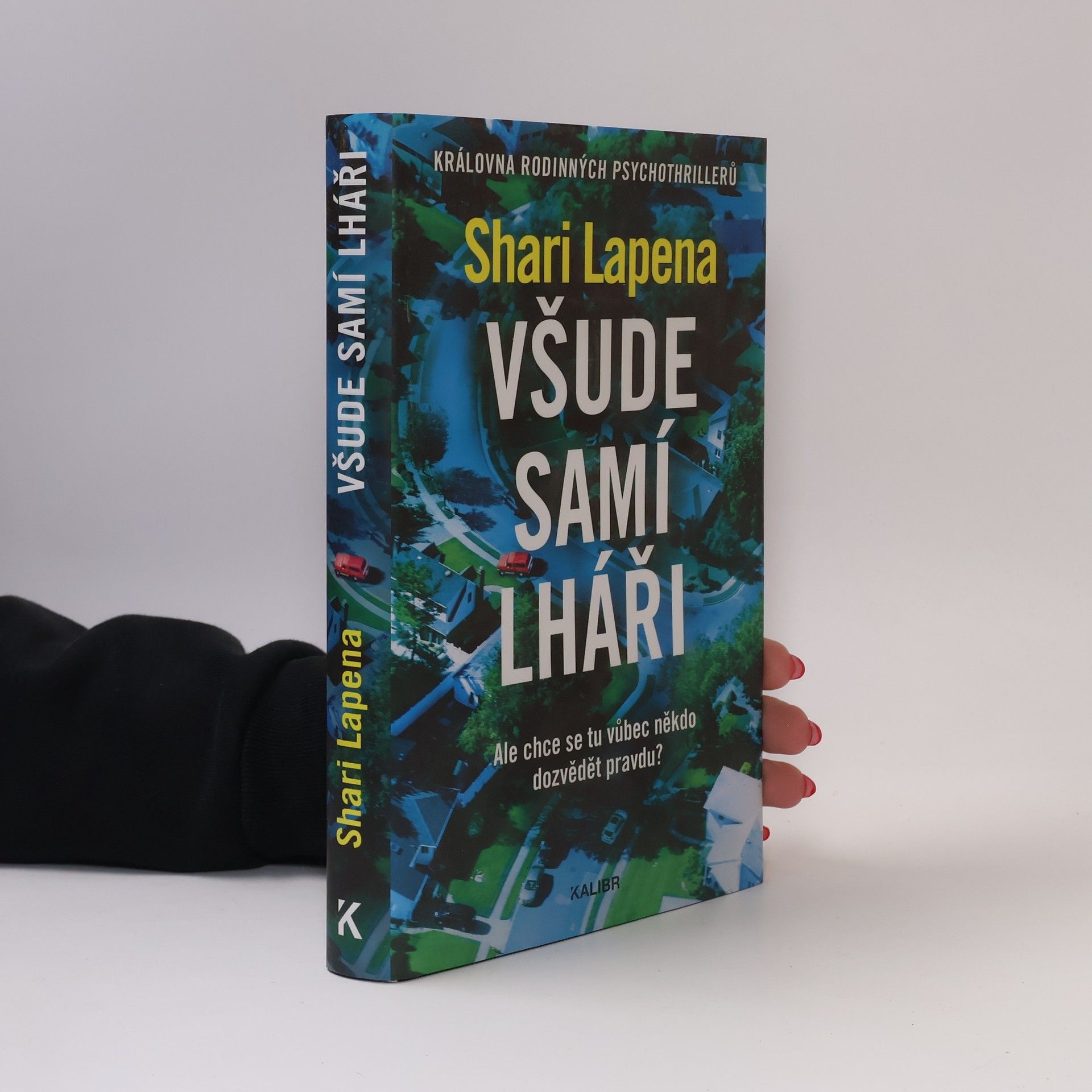 Shari Lapena Všude samí lháři