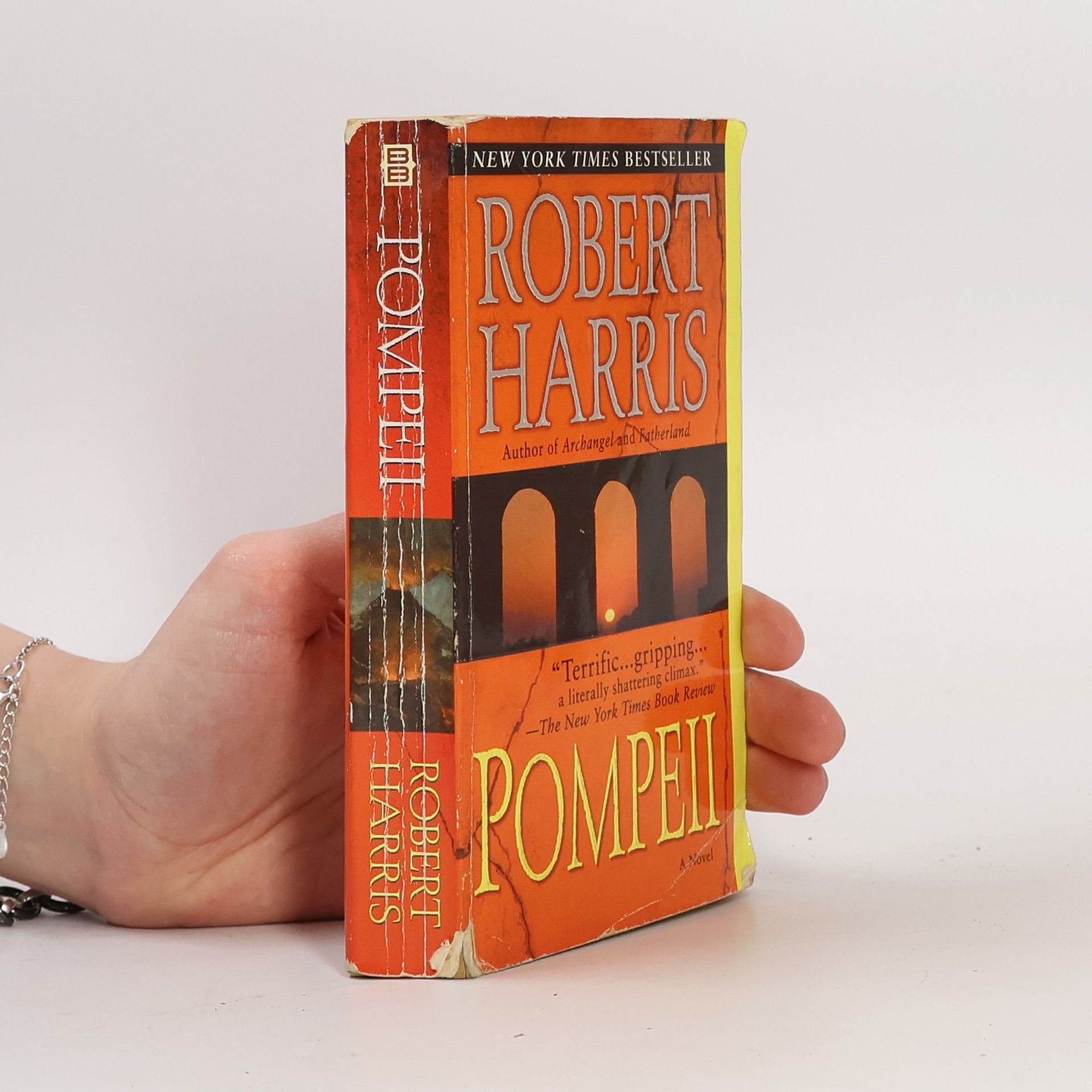 Robert Harris Pompeii