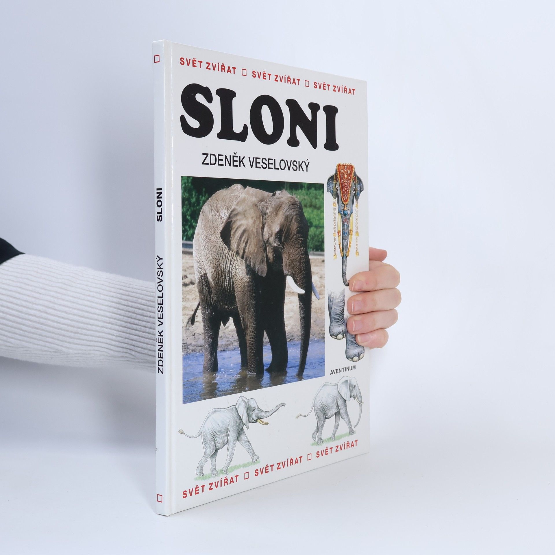 Zdeněk Veselovský Sloni