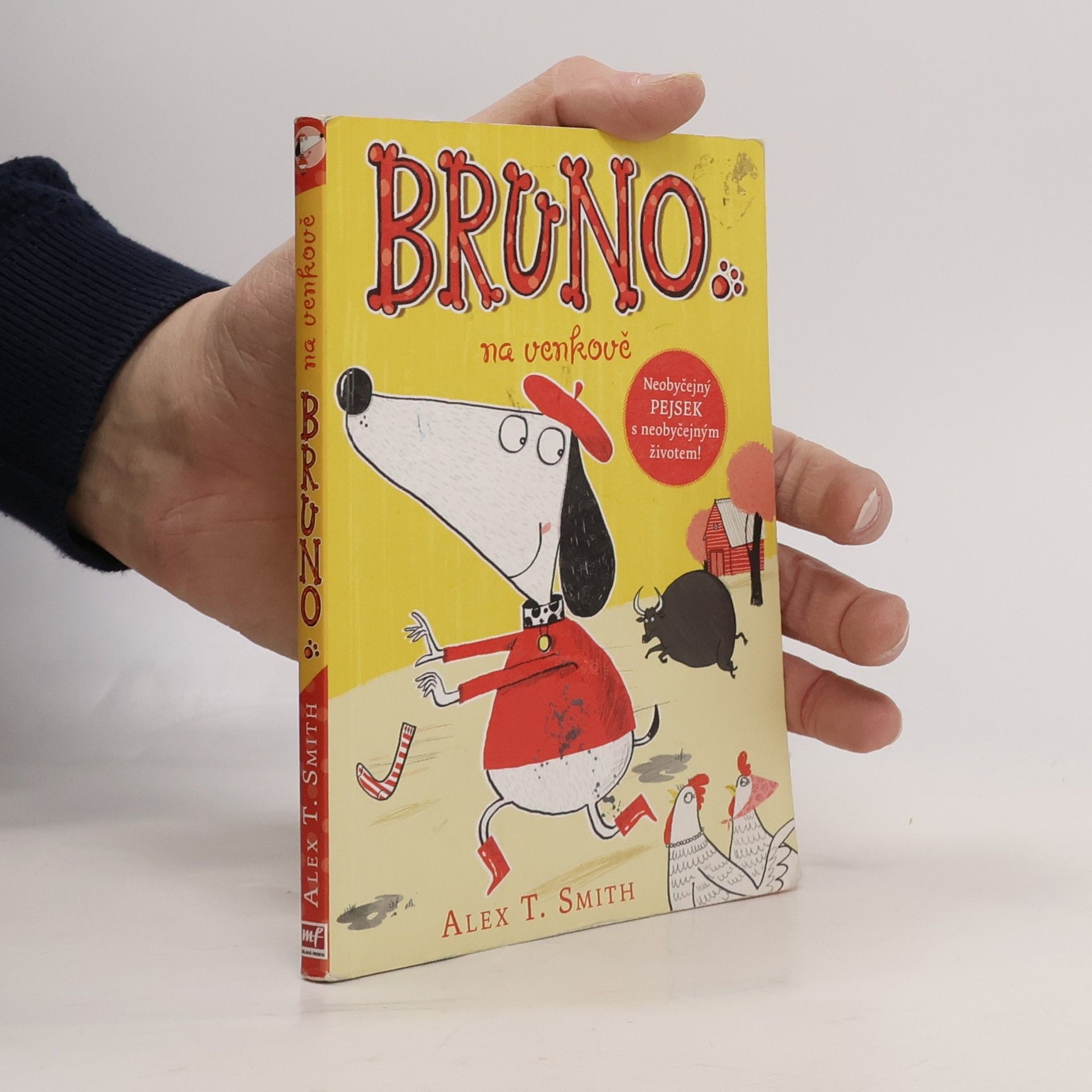 Alex T. Smith Bruno na venkově