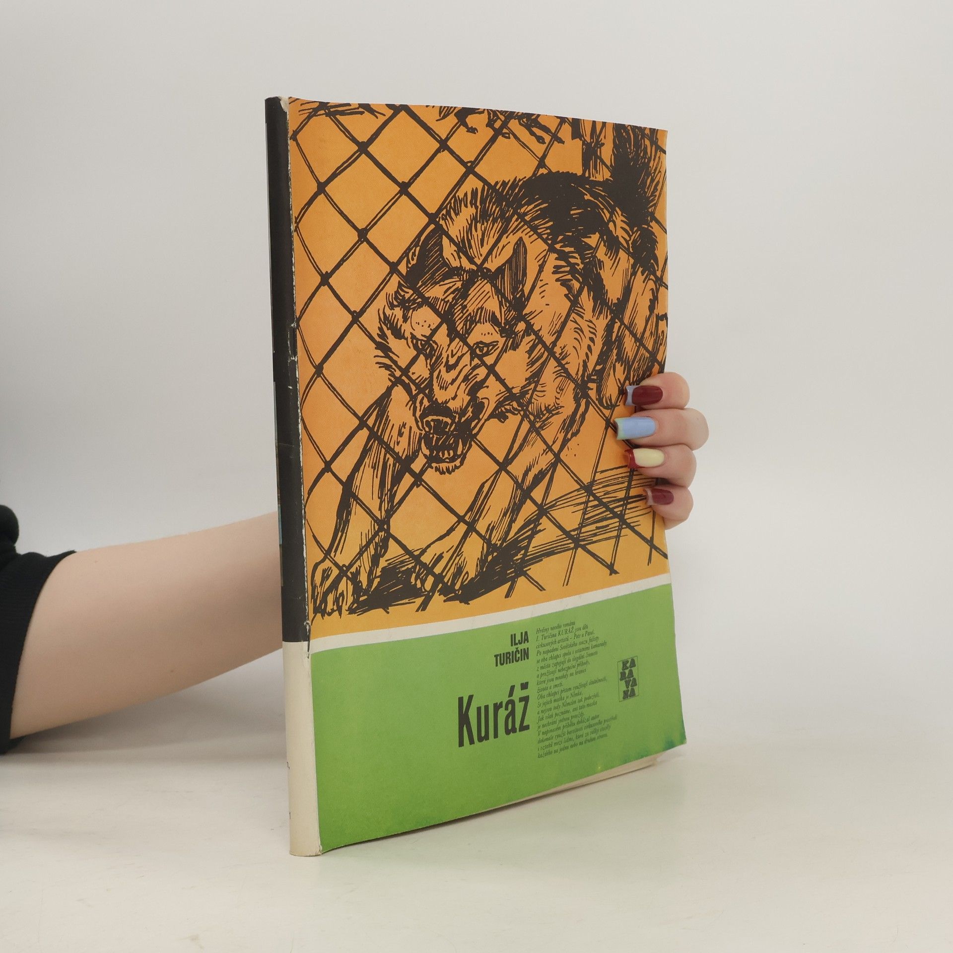 Ilja Turičin Karavana 205. Kuráž