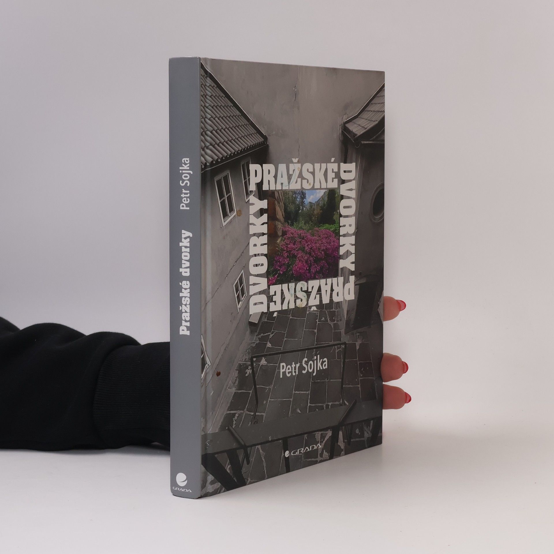 Petr Sojka Pražské dvorky