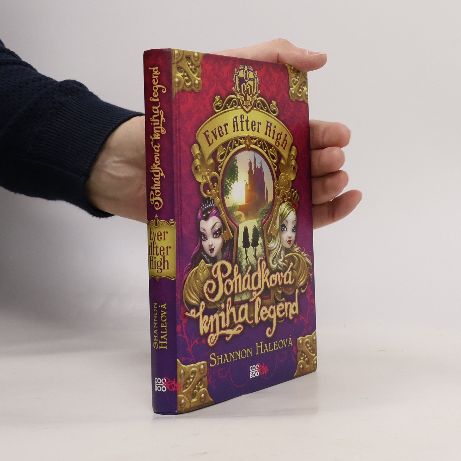 Shannon Hale Pohádková kniha legend