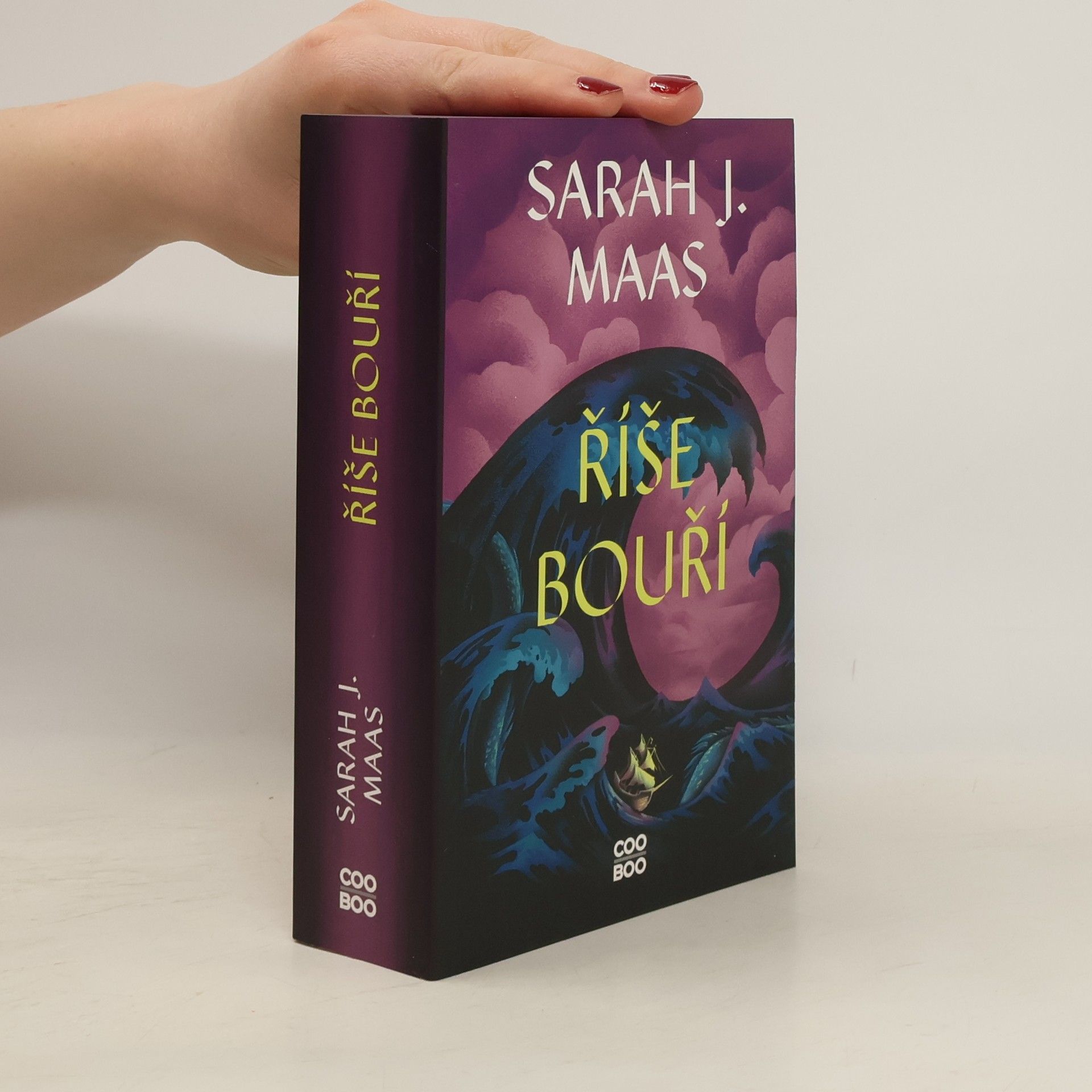 Sarah J. Maas Říše bouří