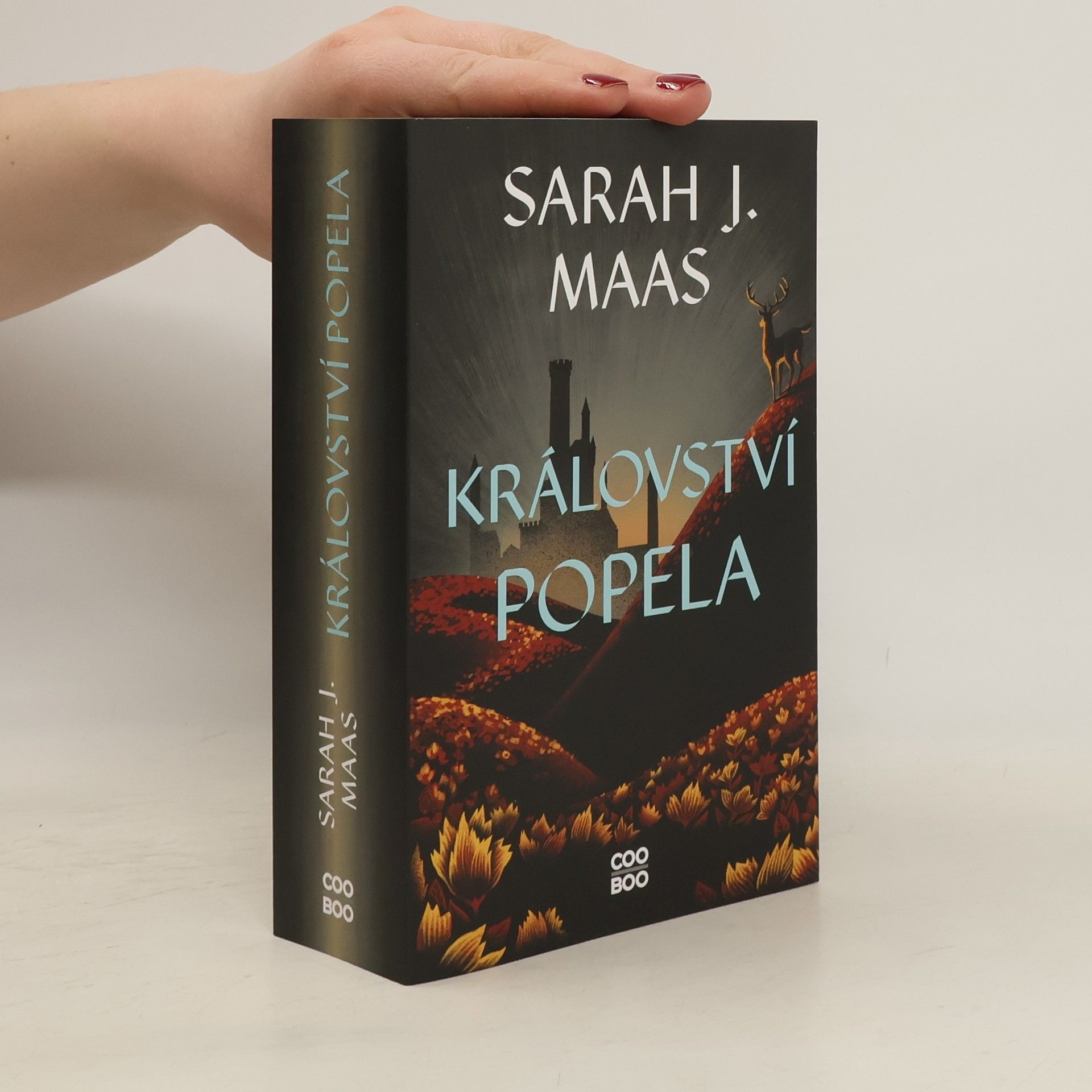 Sarah J. Maas Království popela