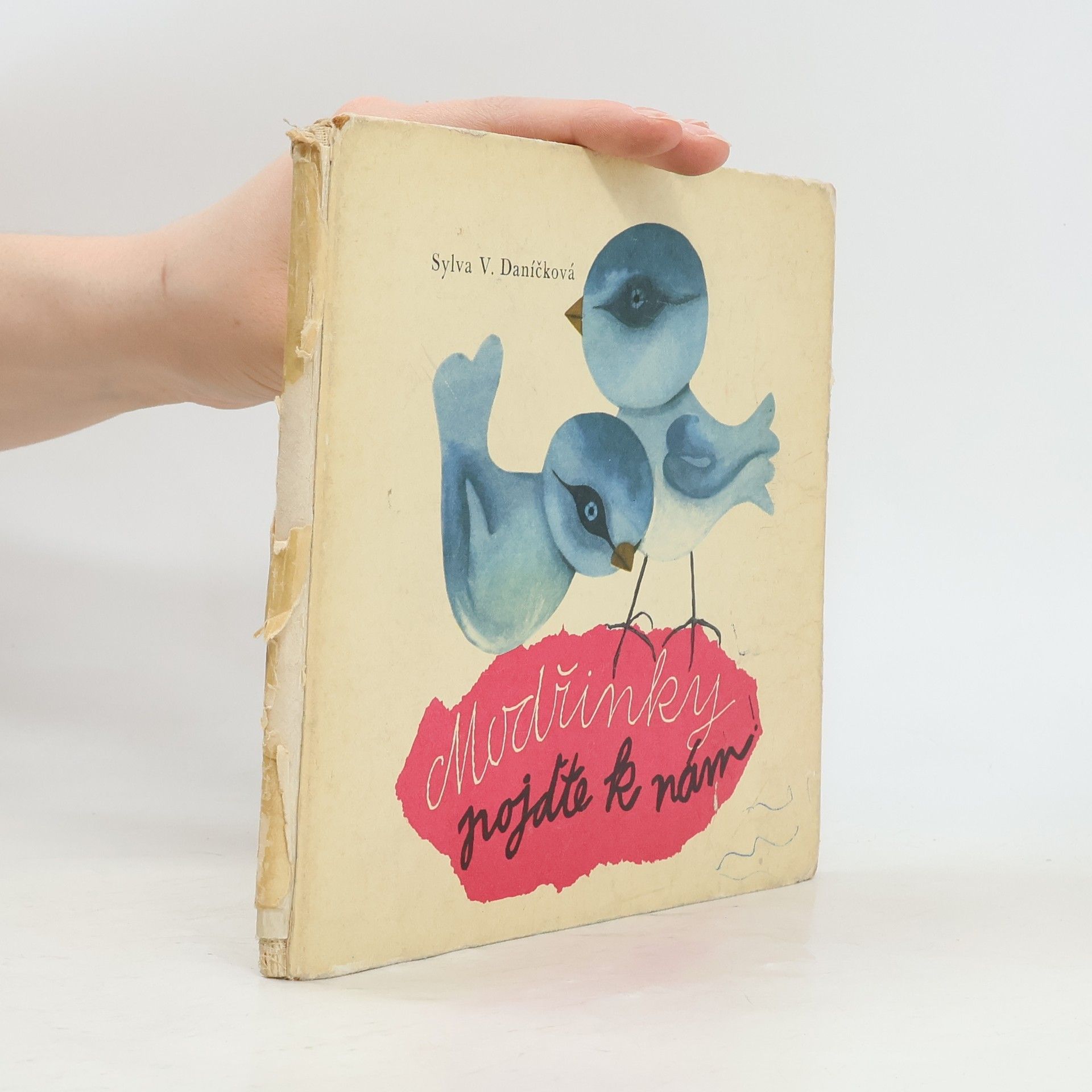 Sylva V. Daníčková Modřinky pojďte k nám