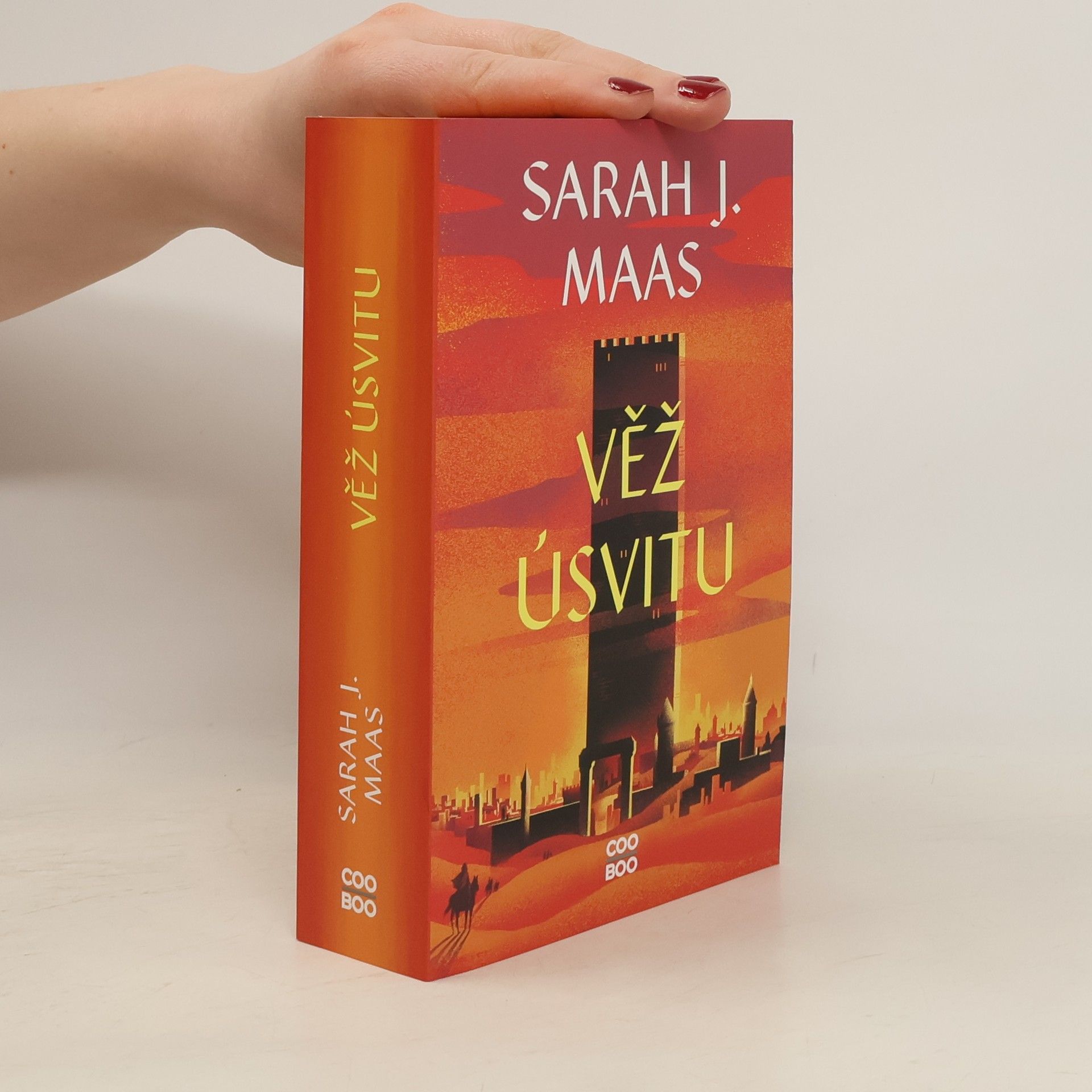 Sarah J. Maasová Věž úsvitu