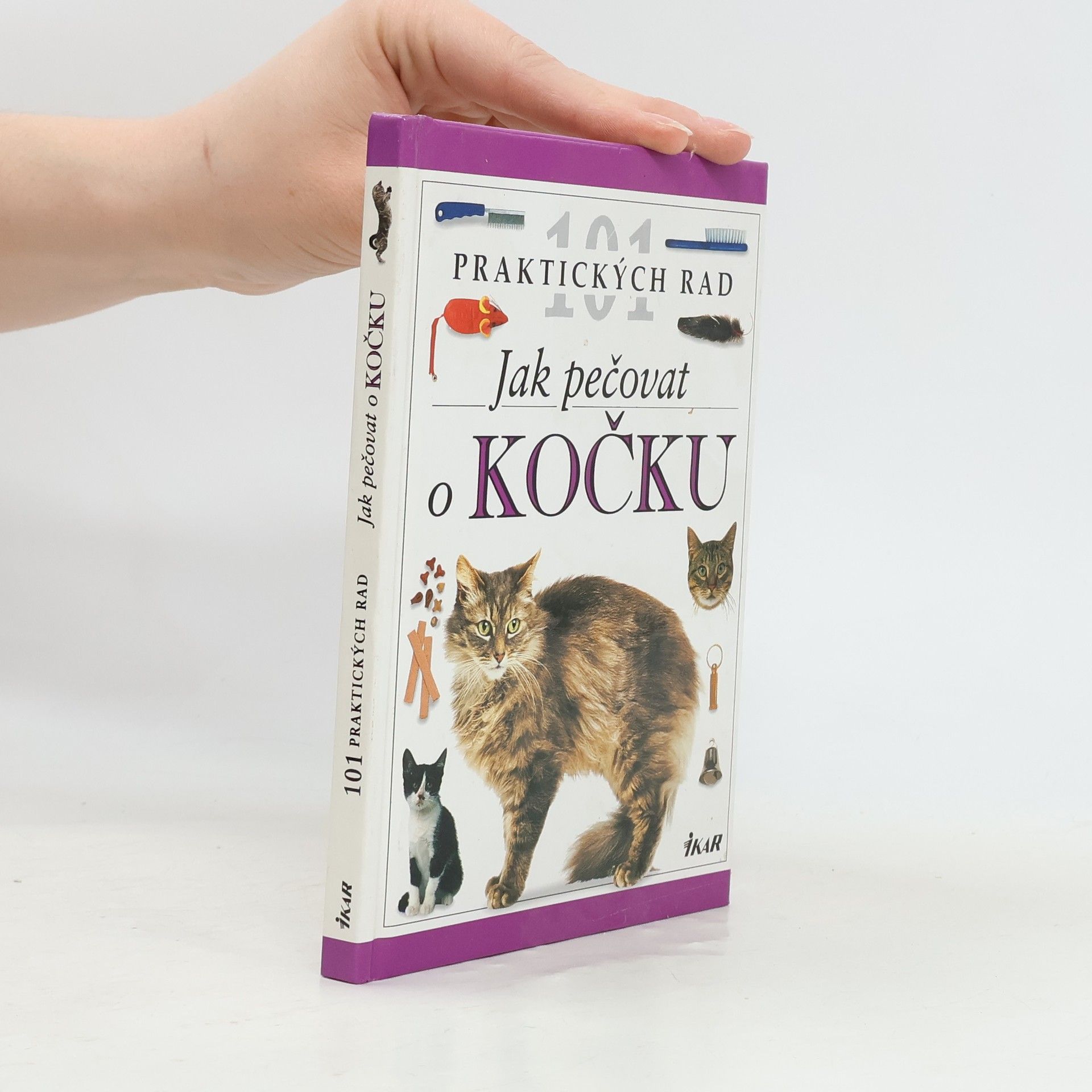 Andrew Edney Jak pečovat o kočku