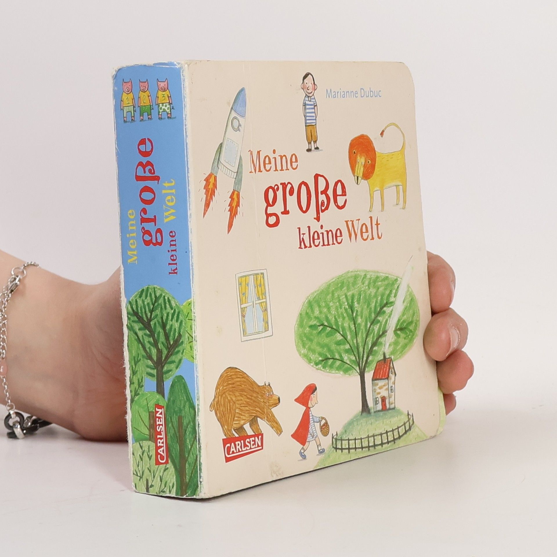 Marianne Dubuc Meine große kleine Welt