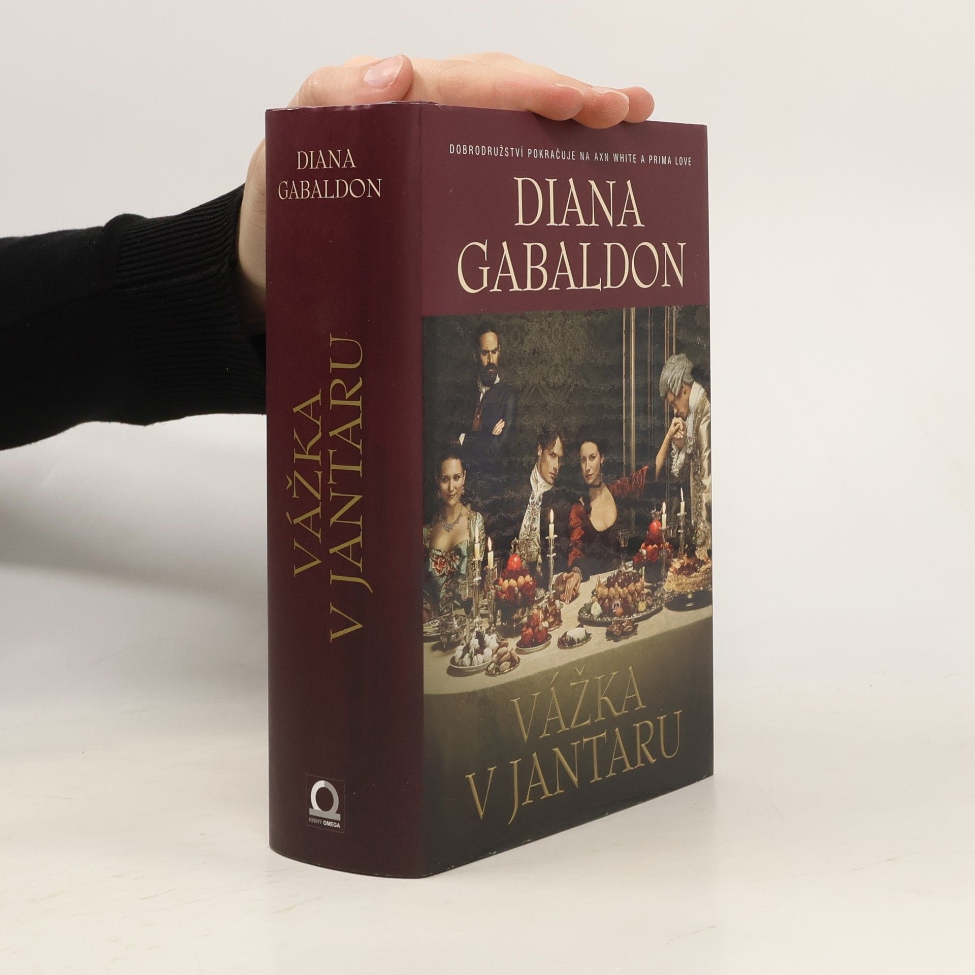 Diana Gabaldon Vážka v jantaru